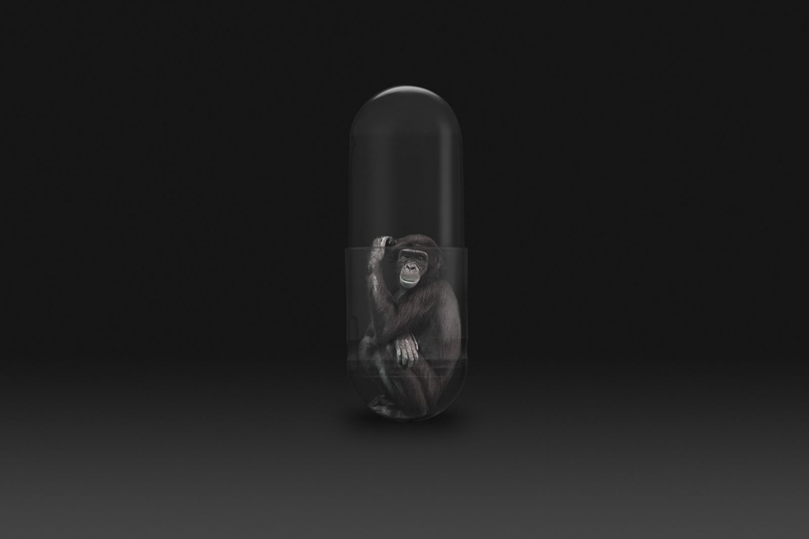 © Gianluca Micheletti - Image from the Lifepod photography project