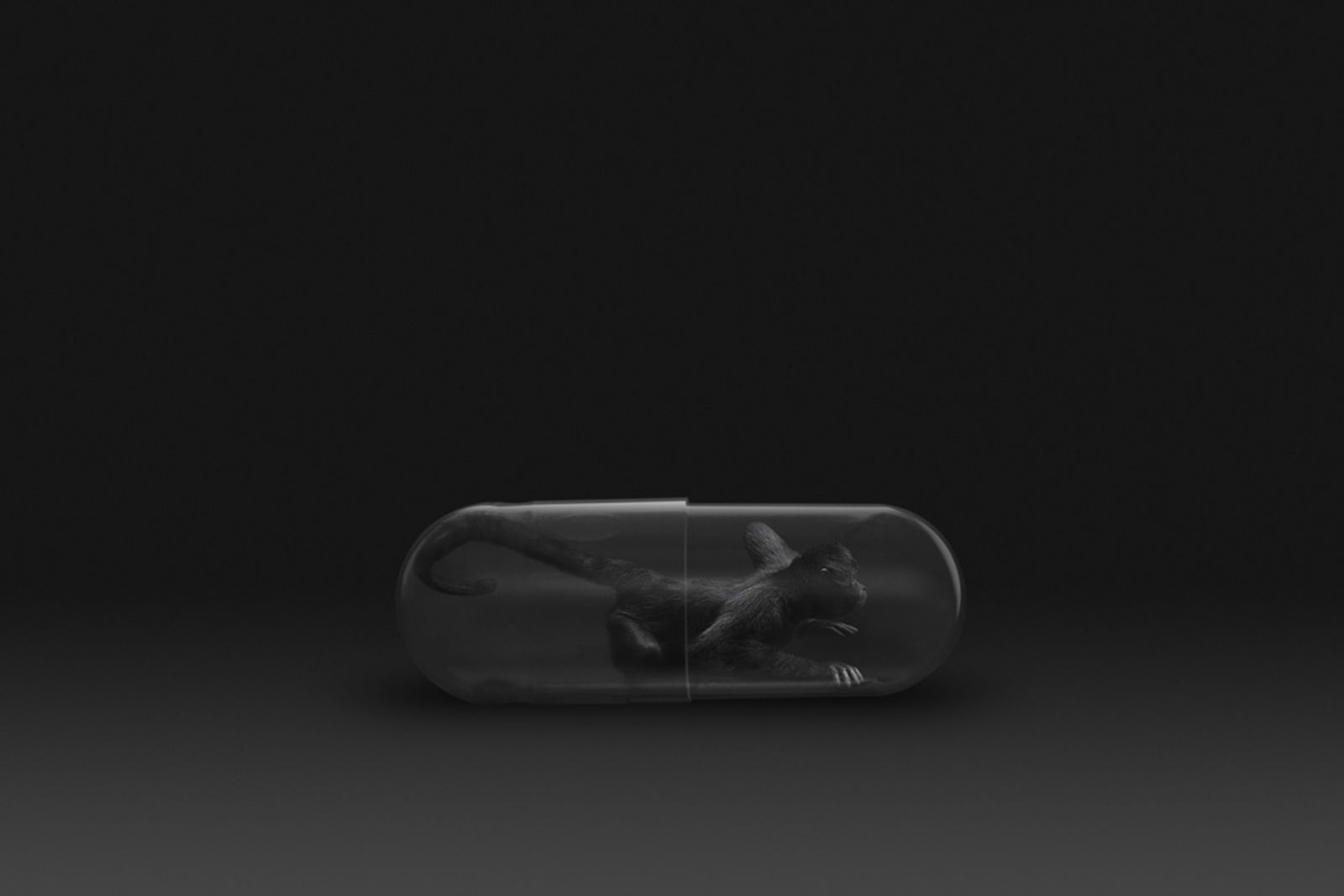 © Gianluca Micheletti - Image from the Lifepod photography project