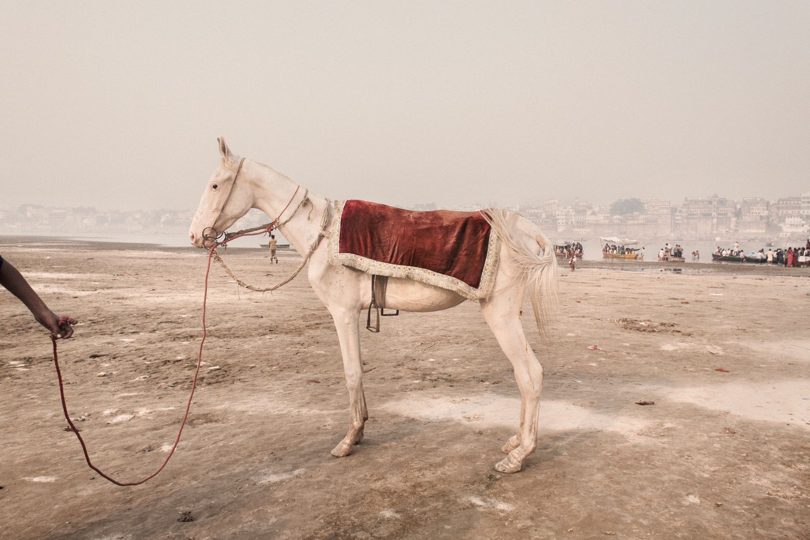 © Giulio Di Sturco - Horse used to transport the devotees along the banks of the Ganges River,