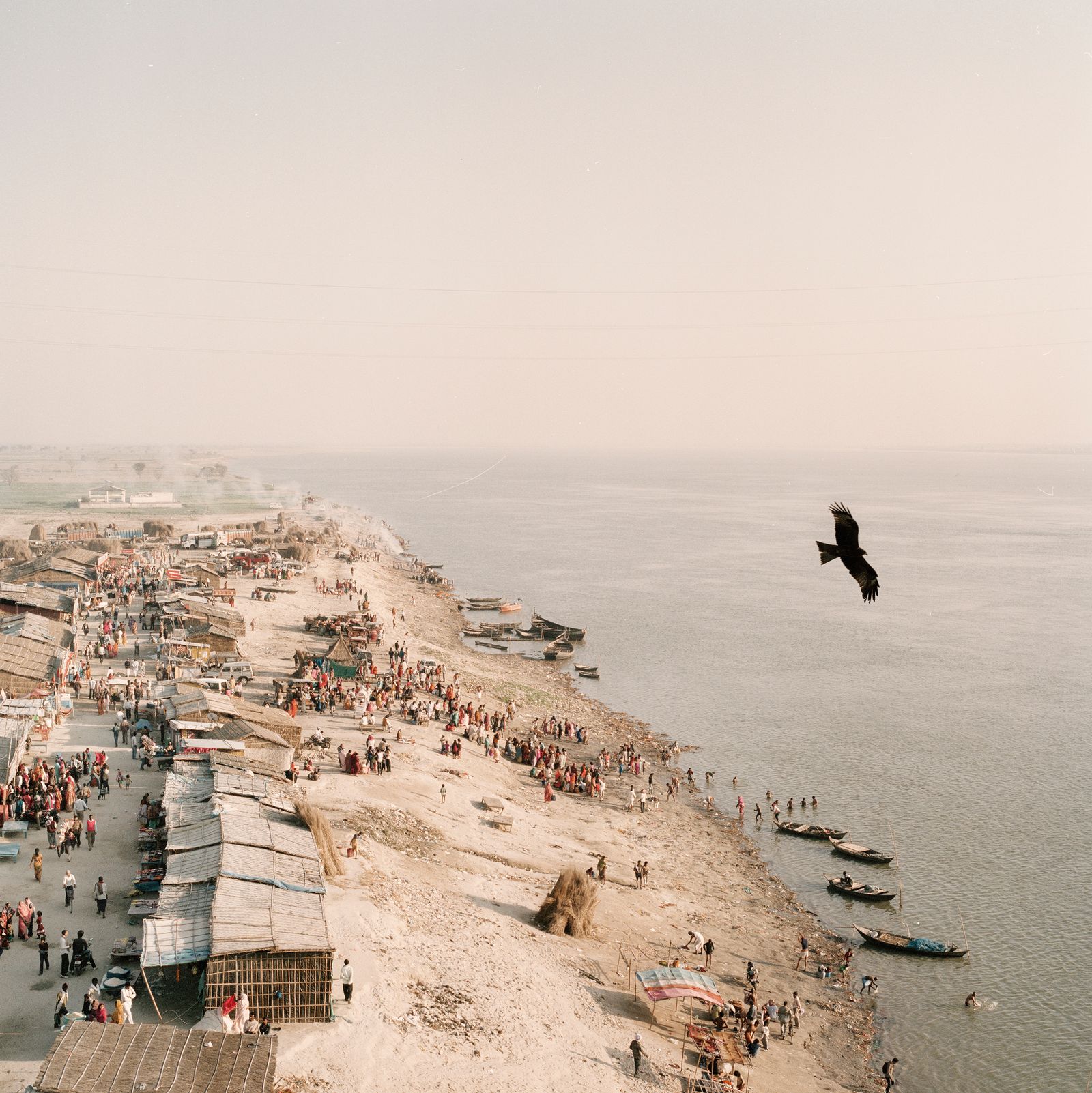 © Giulio Di Sturco - Image from the Living Entity photography project