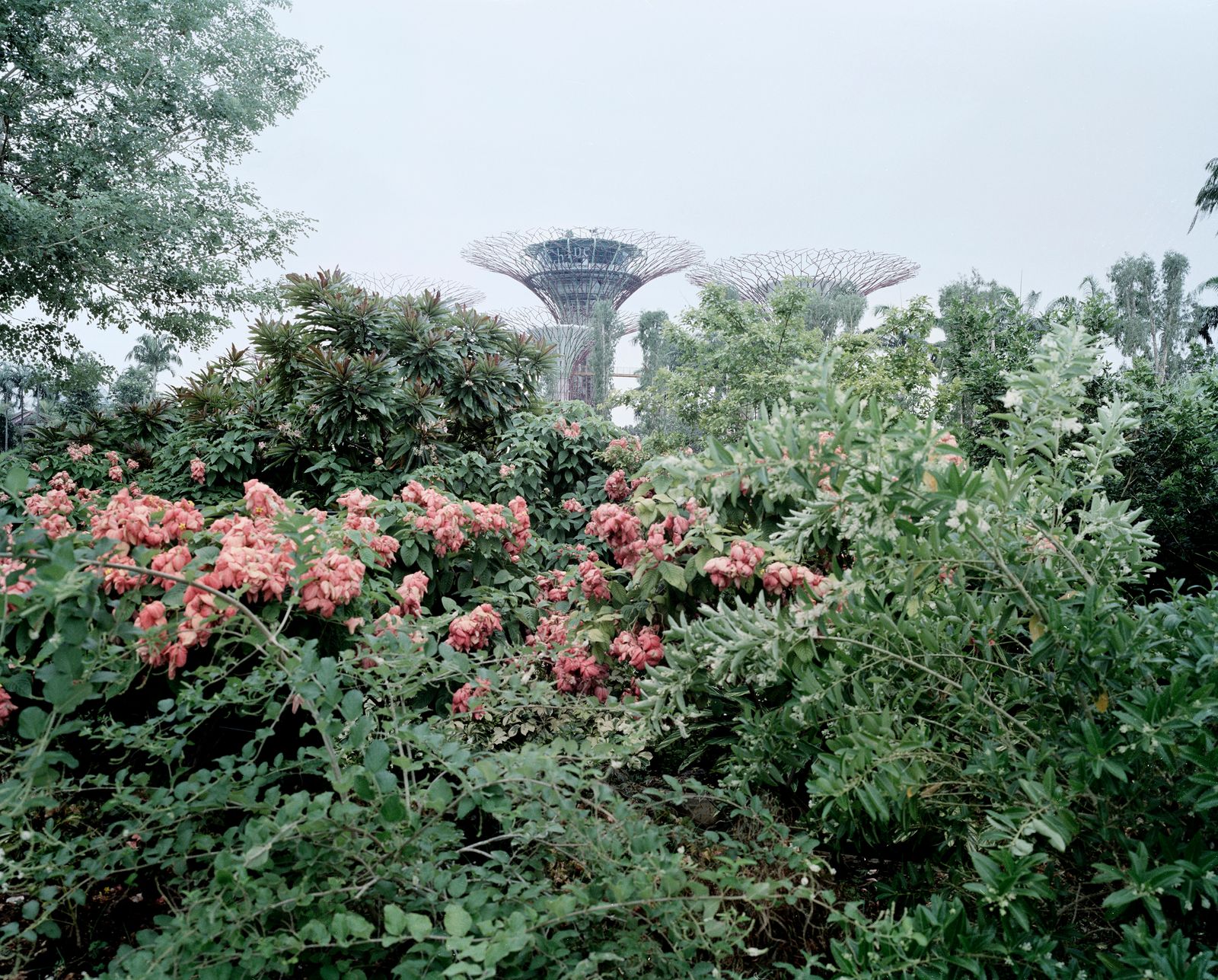 © Giulio Di Sturco - Image from the Aerotropolis, the way we will live next photography project