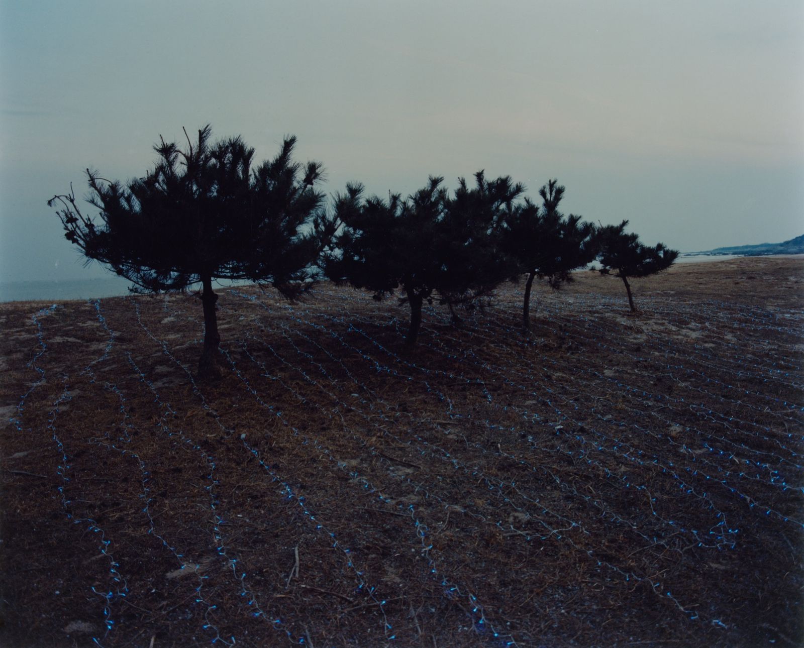 © Yuhang Jiang - Image from the As a spectatorserise photography project