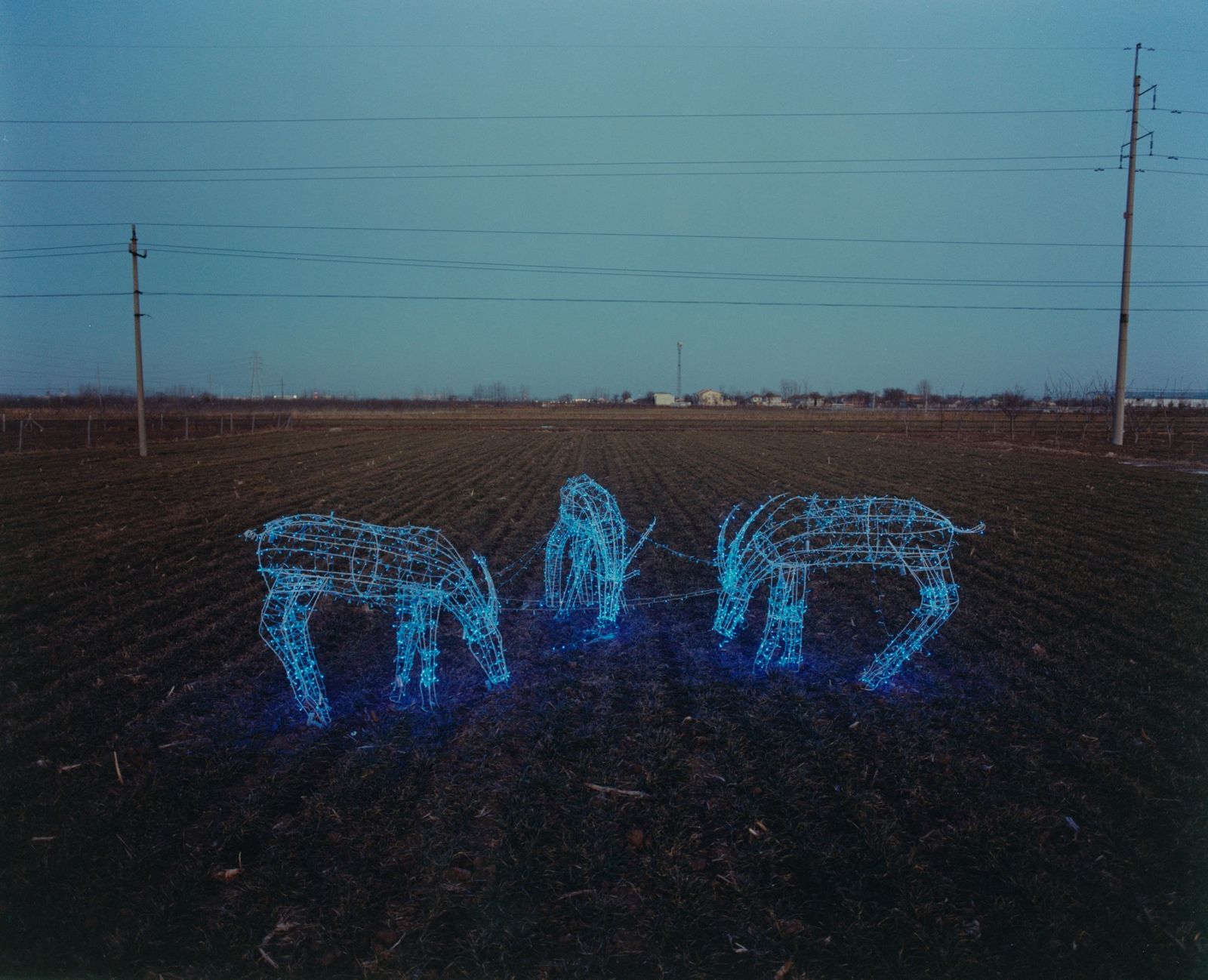 © Yuhang Jiang - Image from the As a spectatorserise photography project