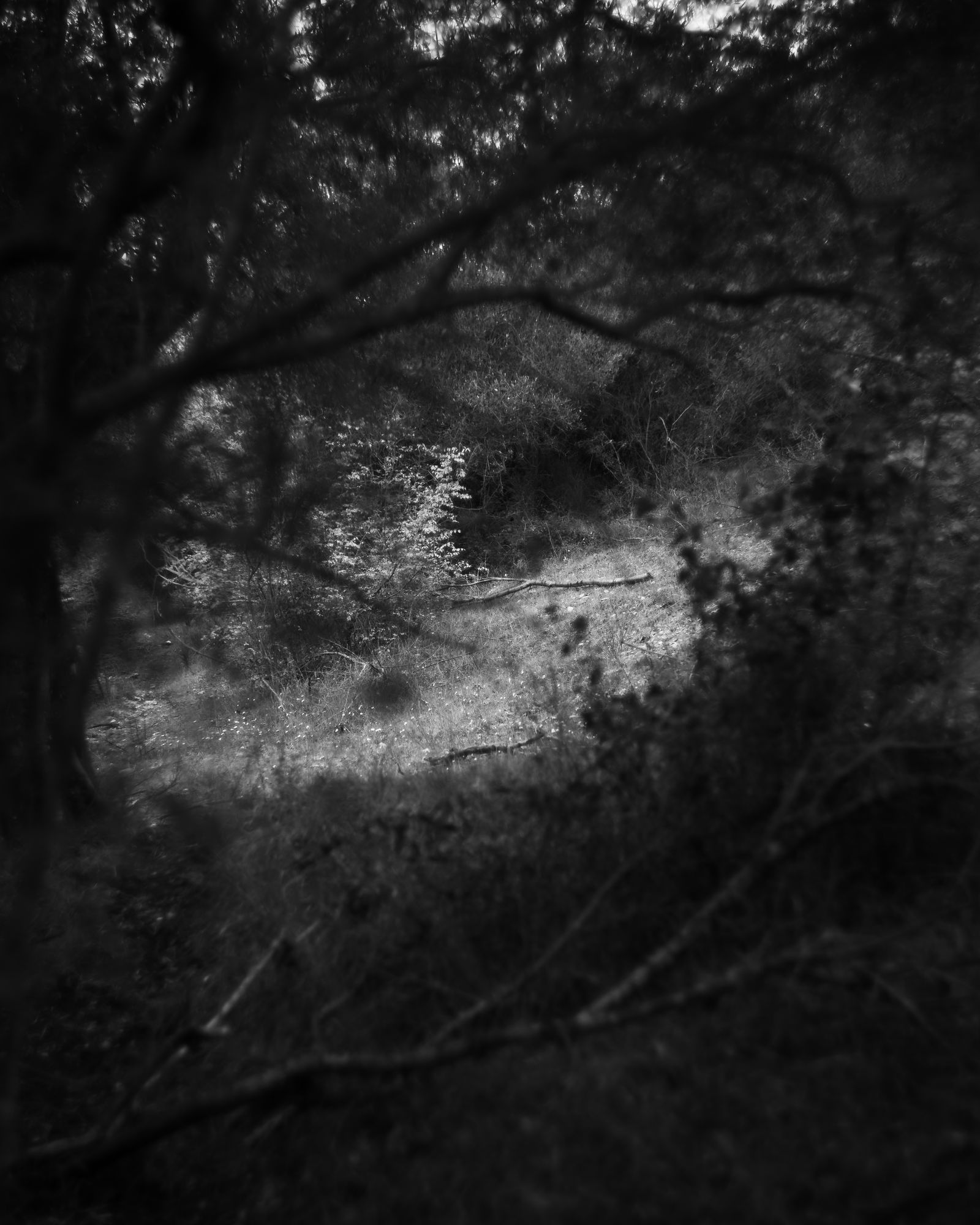© Niccolò Varrella - Image from the Ab aqua photography project