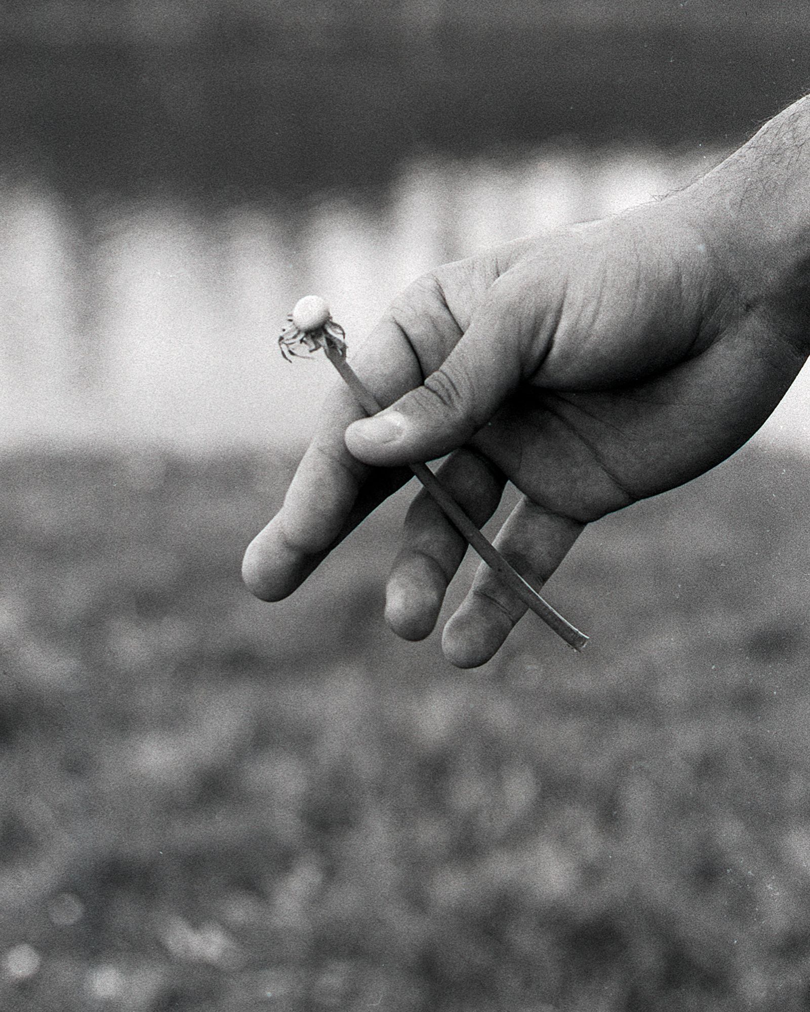 © Niccolò Varrella - Image from the Ab aqua photography project