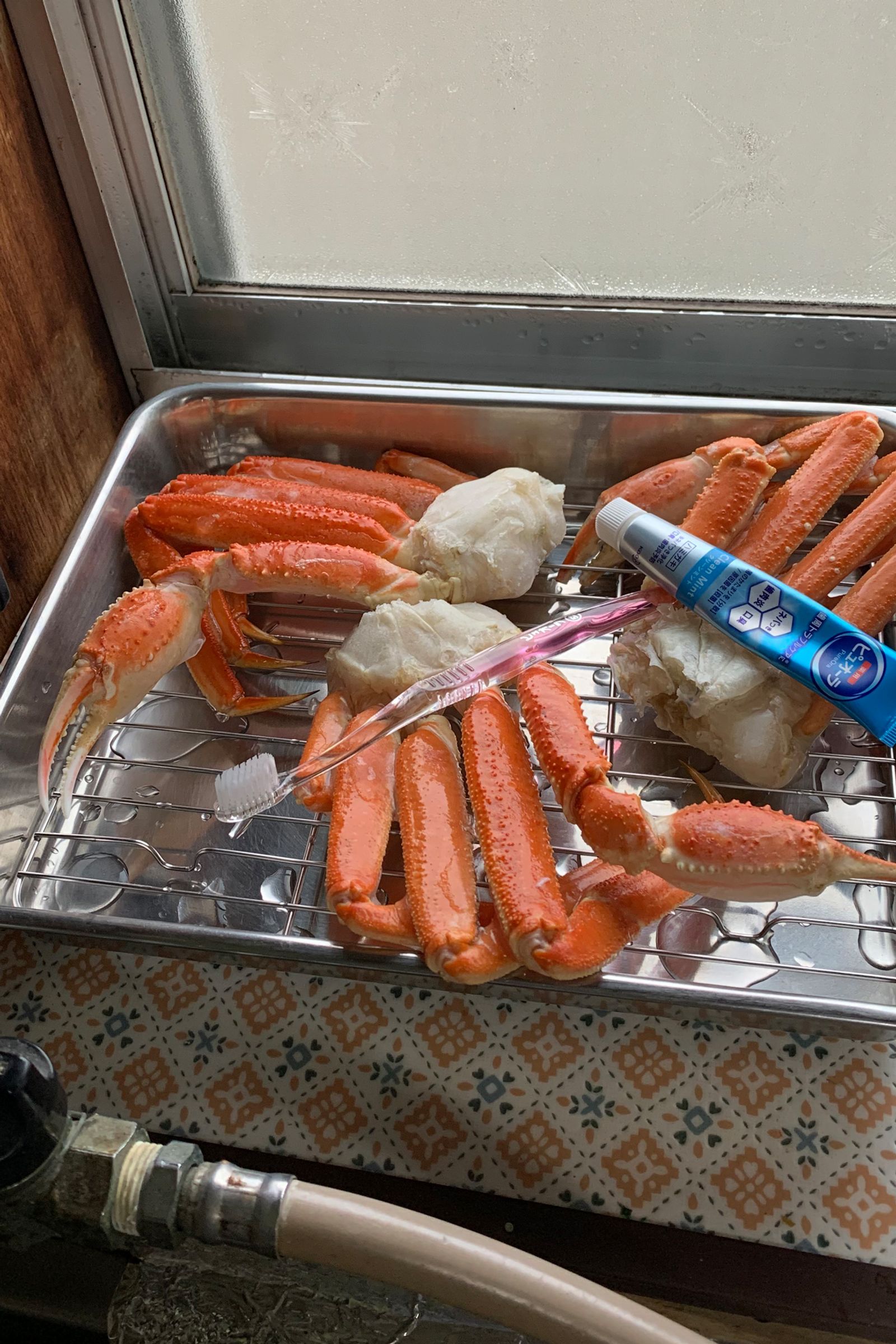 © Kenta Nakamura - When I went back to my parents' house, a crab was used as a toothbrush rest.