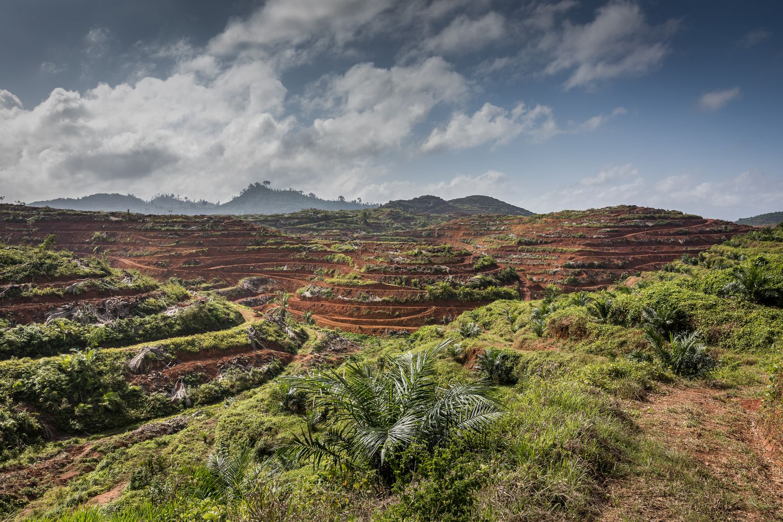 © David Verberckt - Image from the Orang Asal photography project