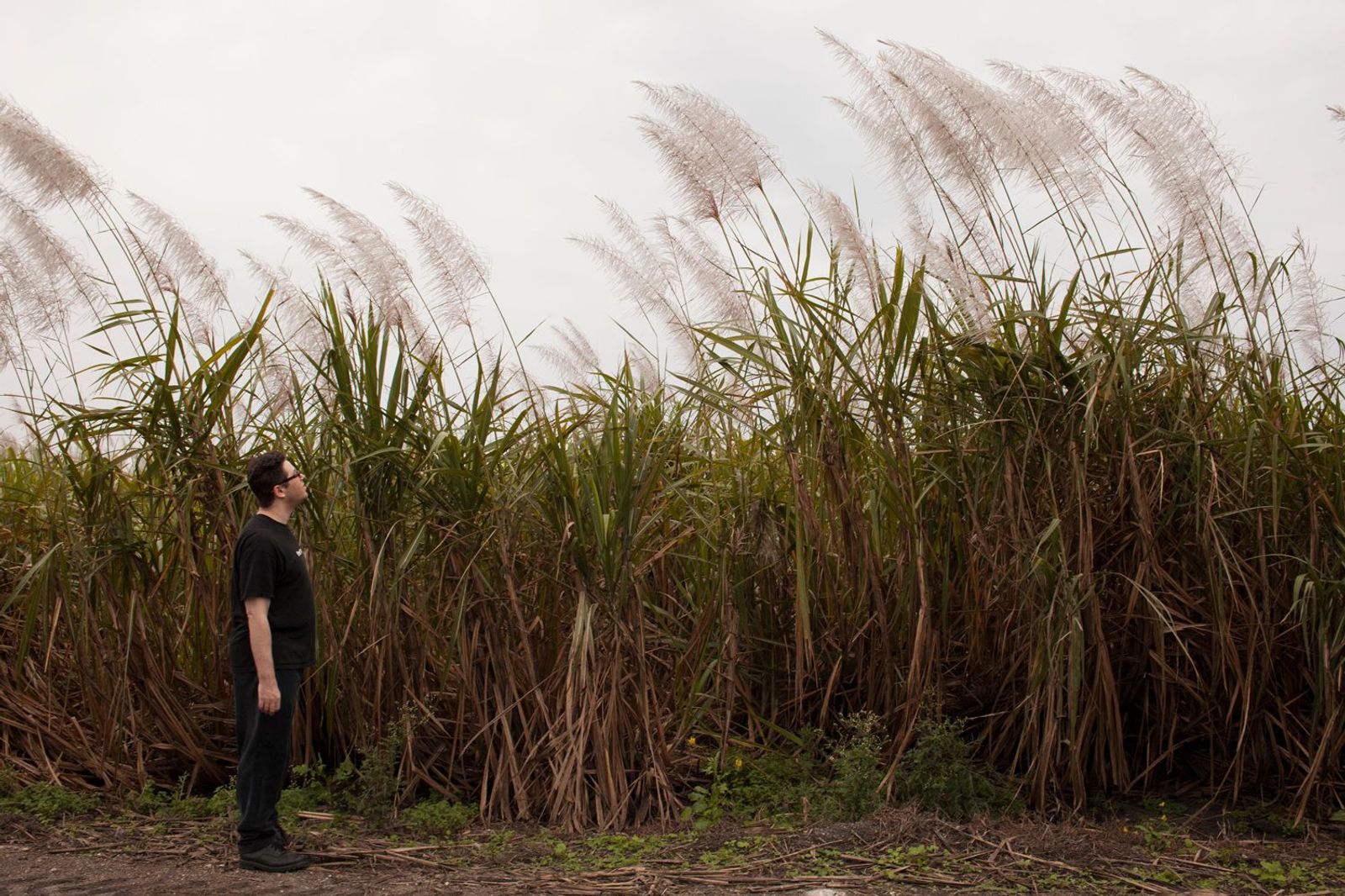 © Sofia Valiente - Ben taking a walk around the sugarcane fields that surround Miracle Village.