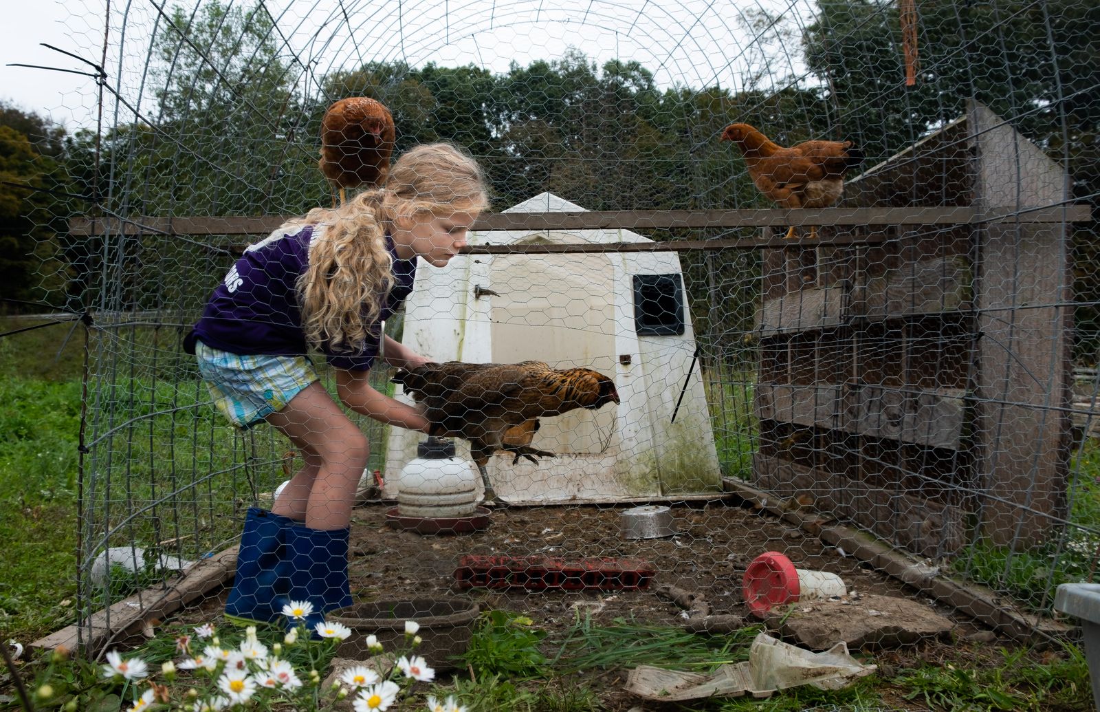 © Michele Abercrombie - Image from the As Seasons Pass: A Ripley Family Farm Story photography project
