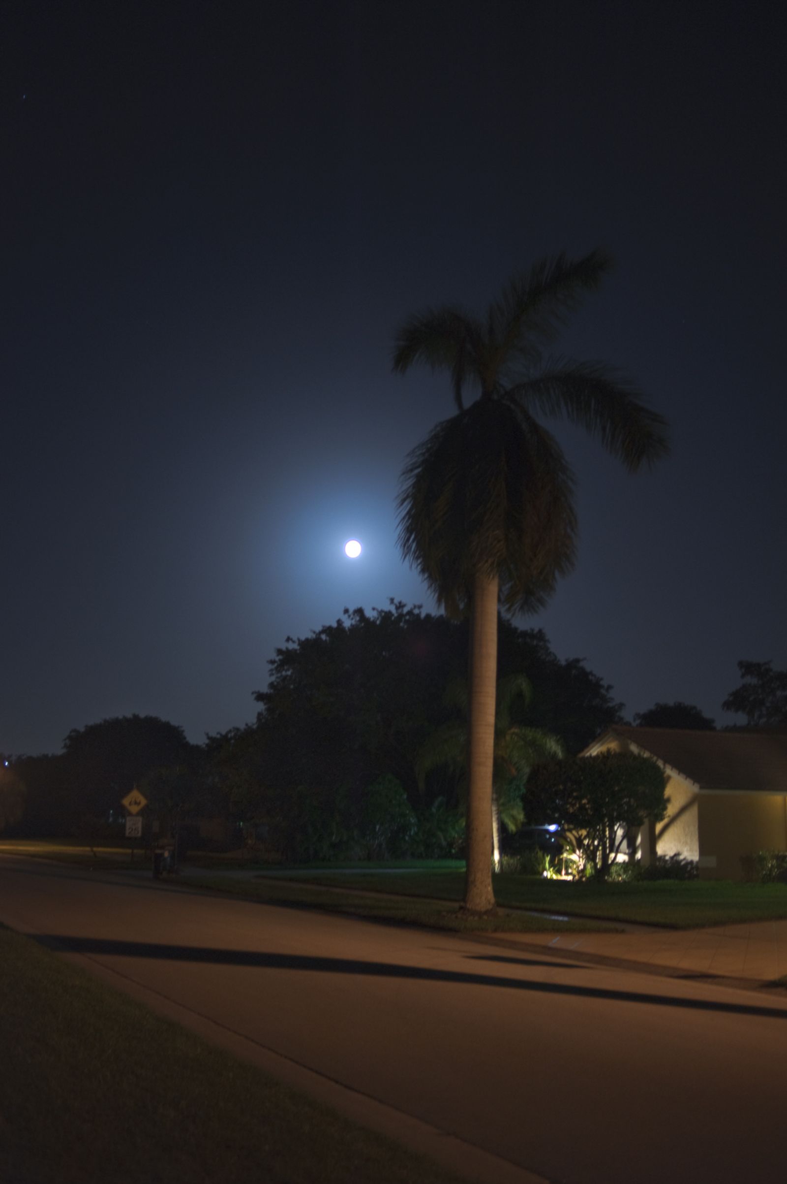 © Jo Ann Chaus - Full Moon in Boca
