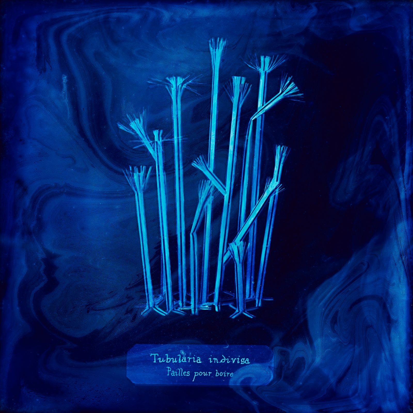 © Manon Lanjouère - drinking straw. cyanotype on glass and fluo vinyl emulsion, 20x20cm