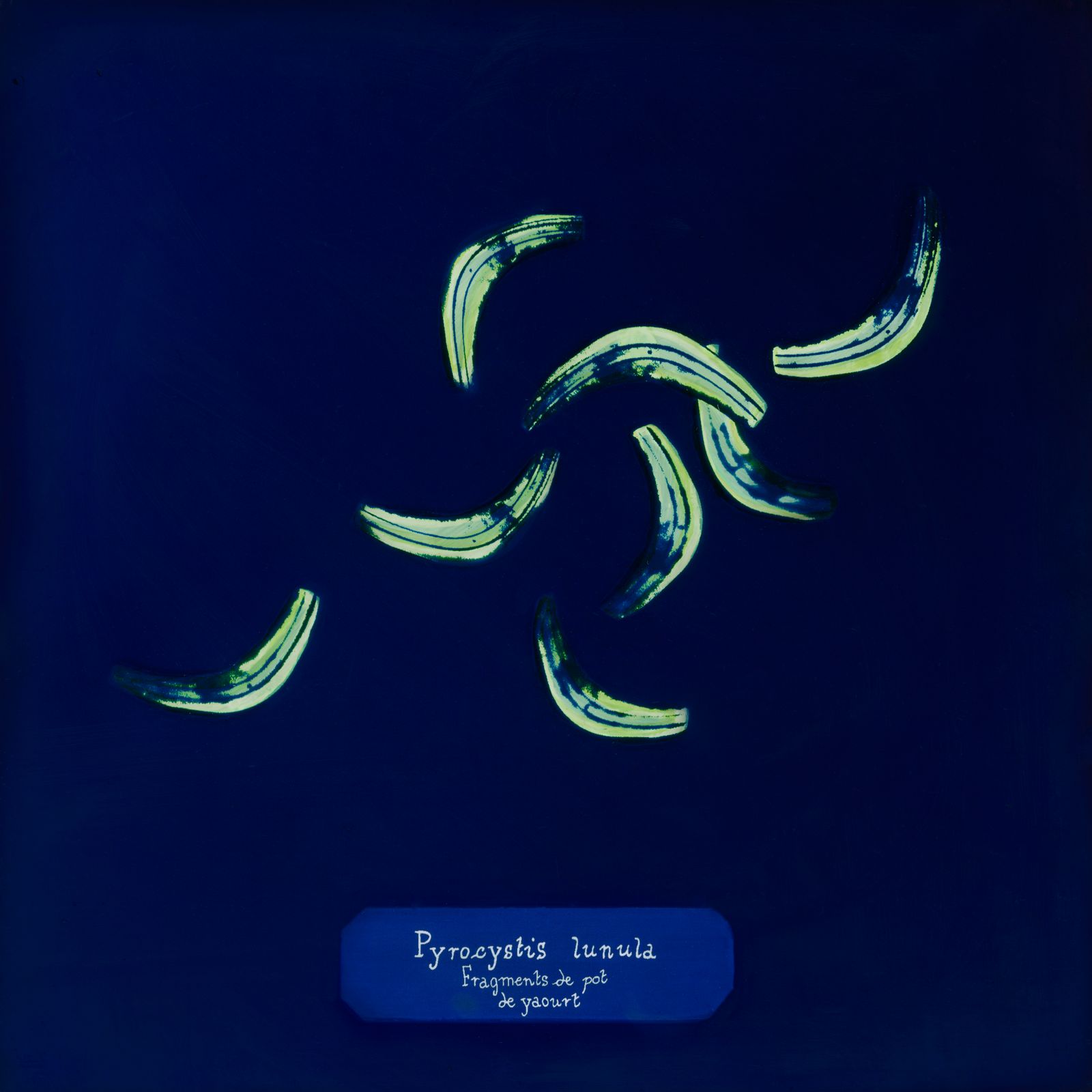 © Manon Lanjouère - yoghurt pot fragments. cyanotype on glass and fluo vinyl emulsion, 20x20cm