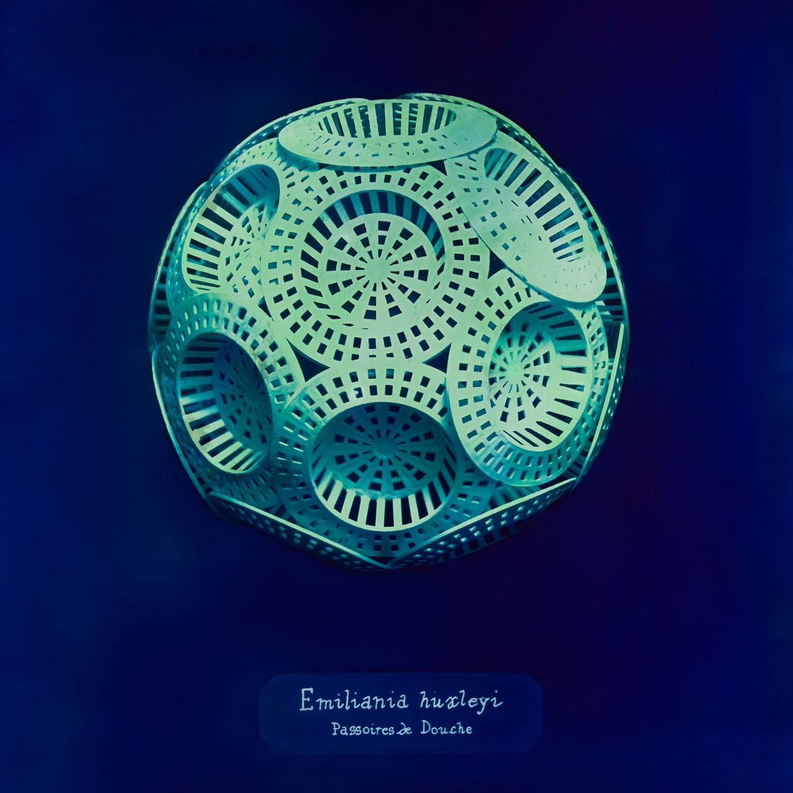 © Manon Lanjouère - shower sinks. cyanotype on glass and fluo vinyl emulsion, 20x20cm