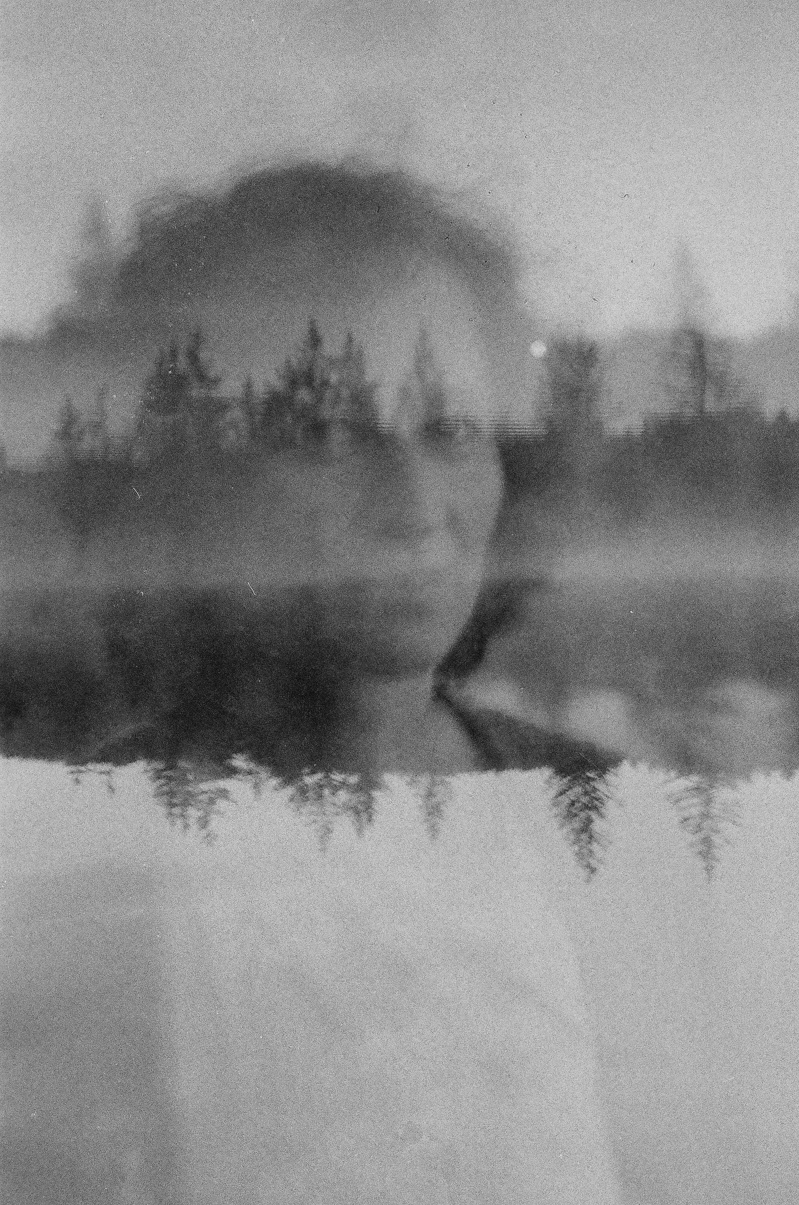 © Ingrid Firmhofer - "WALDEN" (Thoreau) Silke, Germany