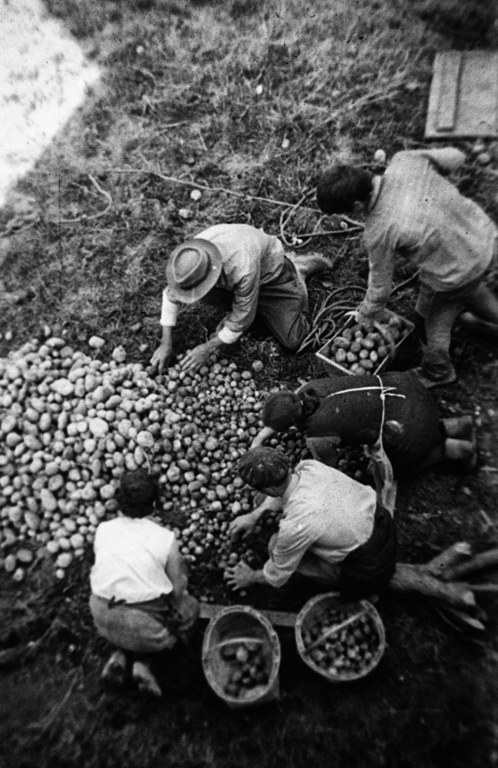 © Ana Nuñez Rodriguez - Digging with our hands