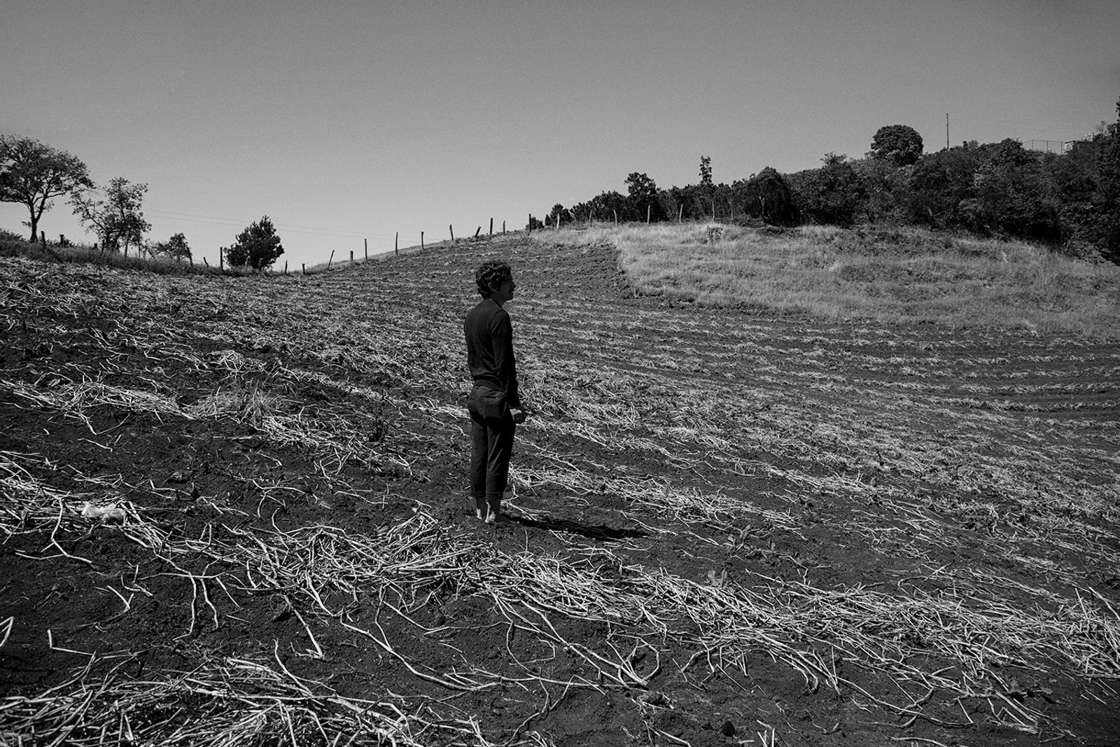 © Ana Nuñez Rodriguez - Displanting