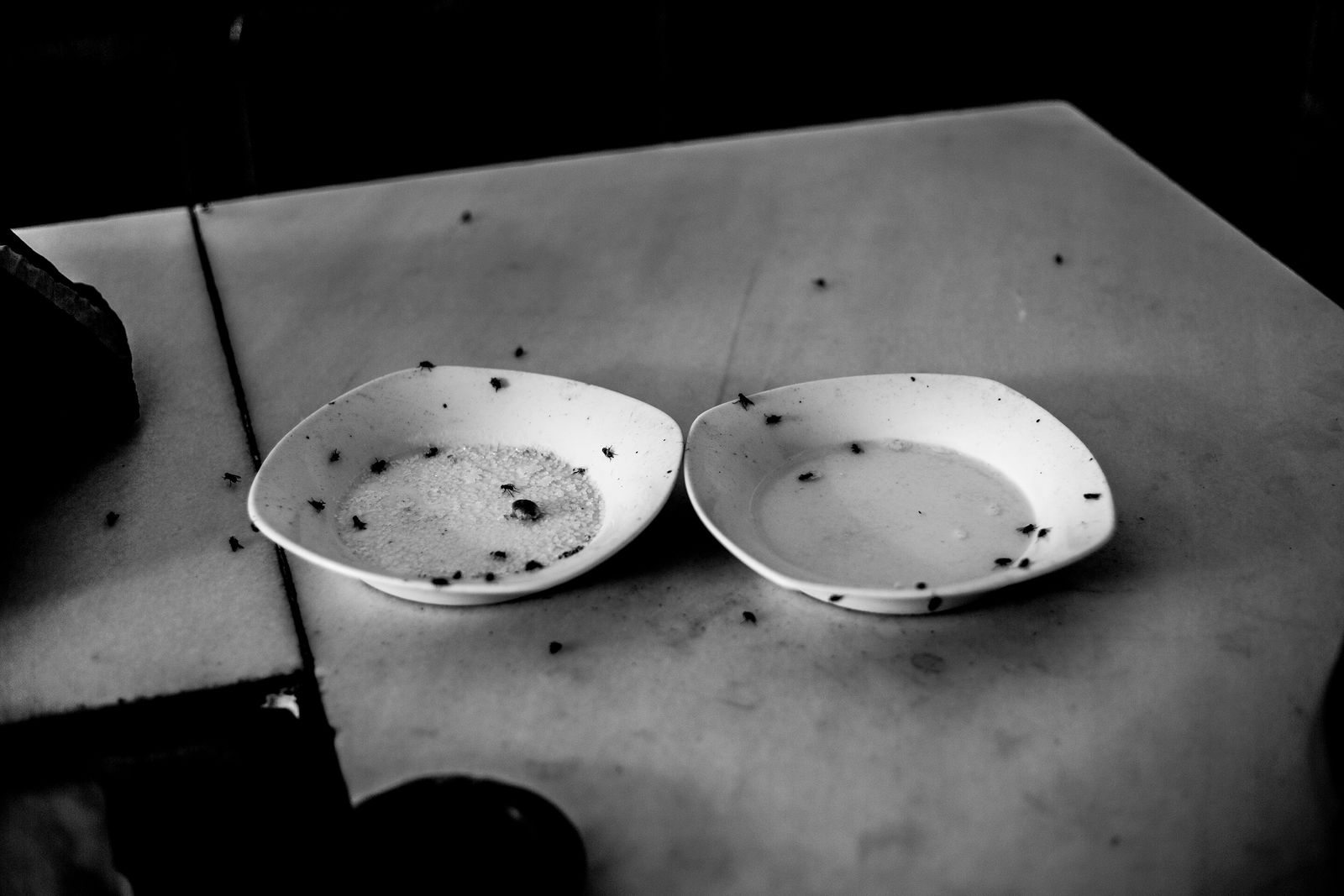 © Ana Nuñez Rodriguez - Tell me what you eat and I will tell you who you are