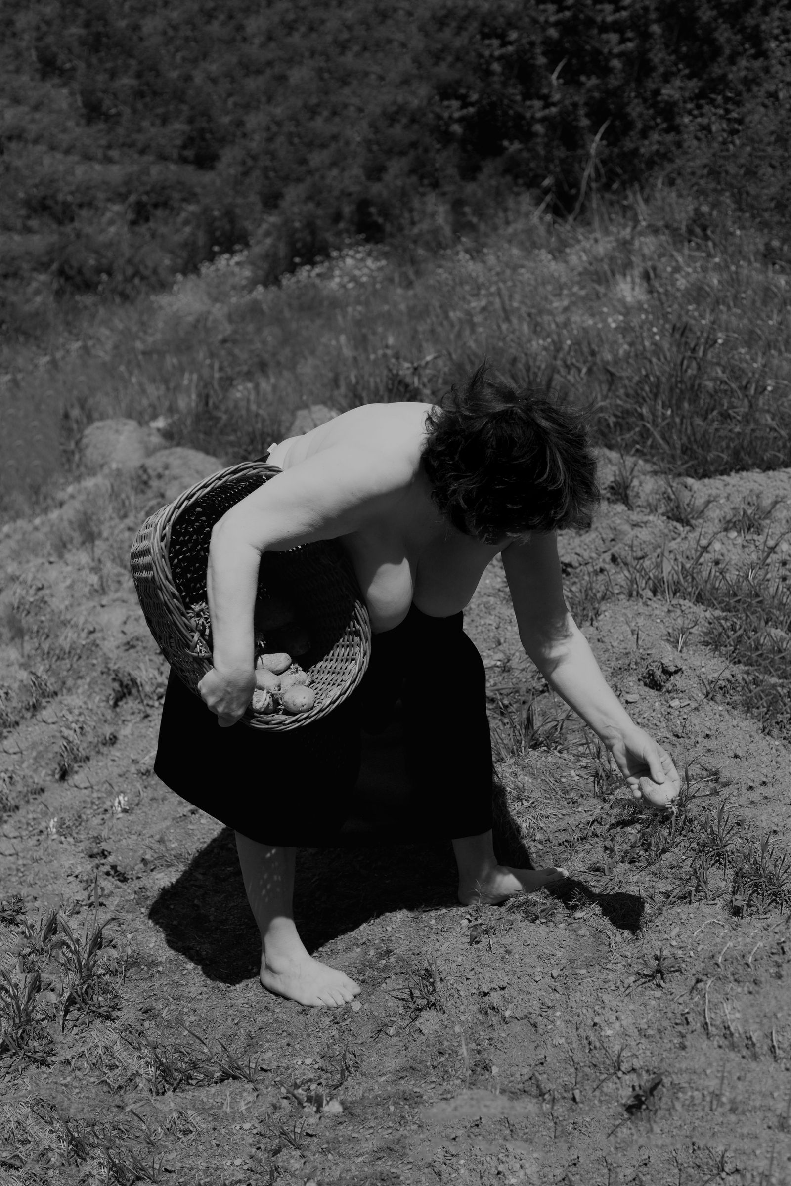 © Ana Nuñez Rodriguez - Planting and displanting