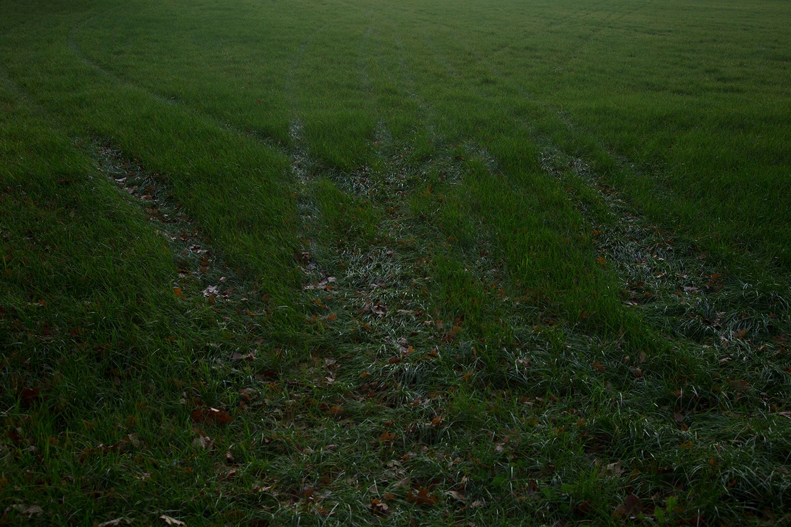 © Vivian Keulards - Image from the To Hans photography project