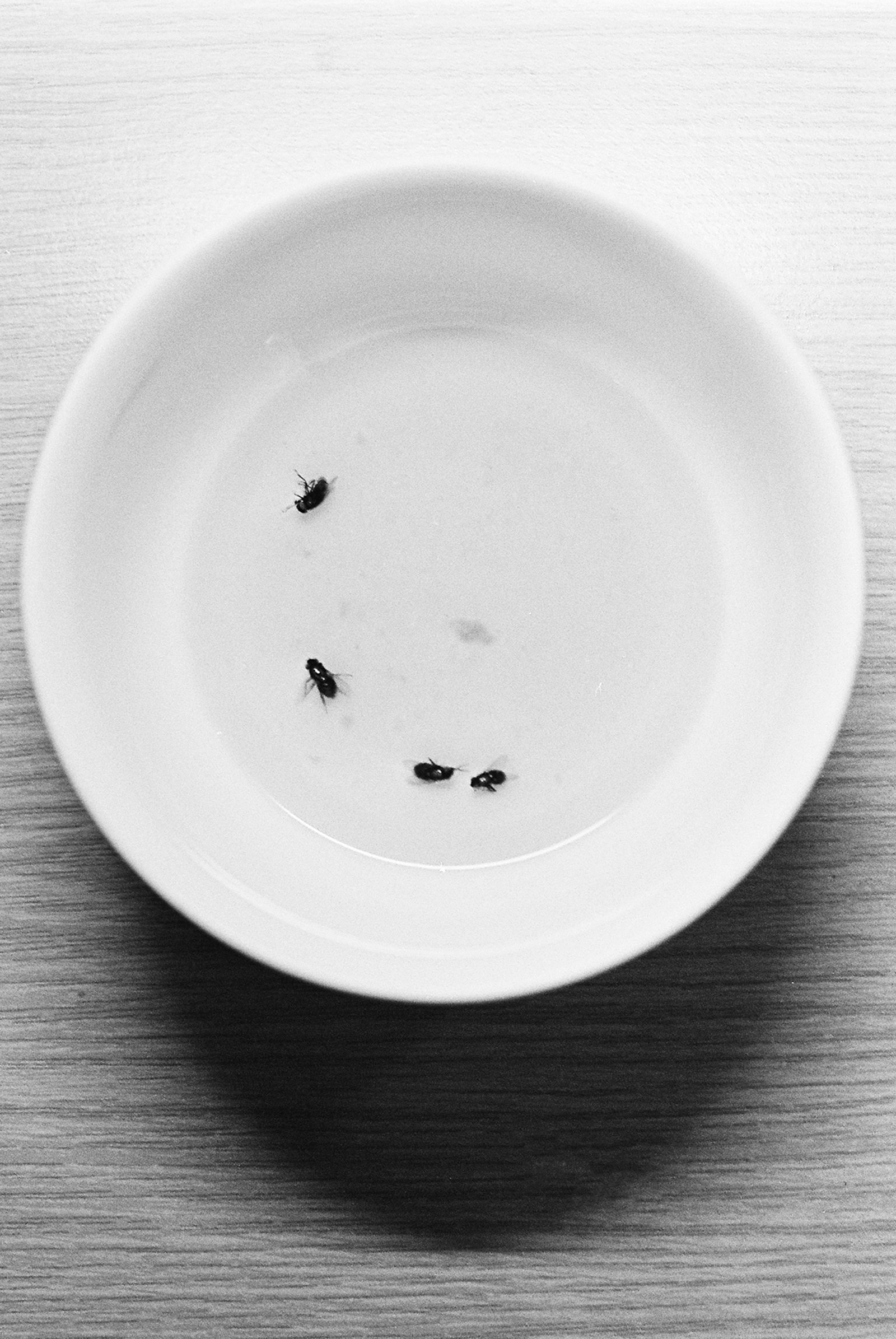 © D. M. Terblanche - Image from the HOLYDAY photography project