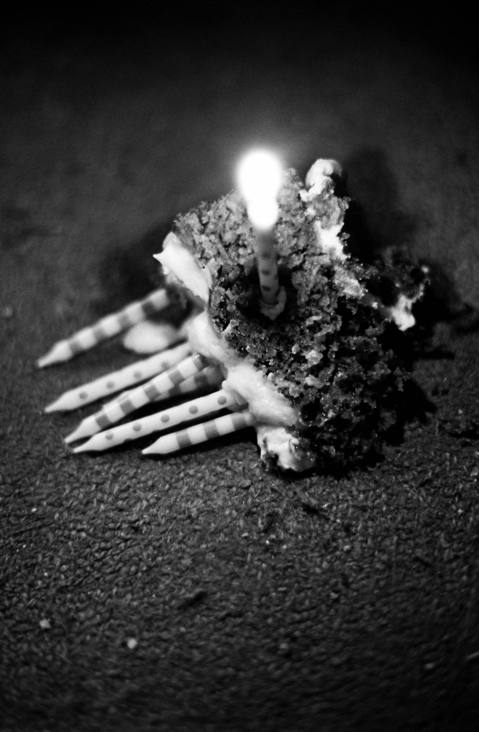 © D. M. Terblanche - Image from the HOLYDAY photography project