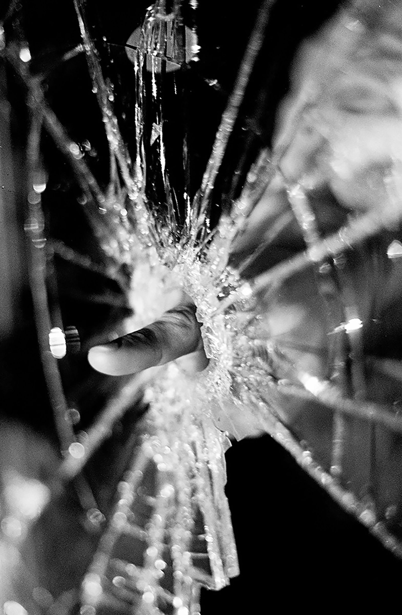 © D. M. Terblanche - Image from the HOLYDAY photography project