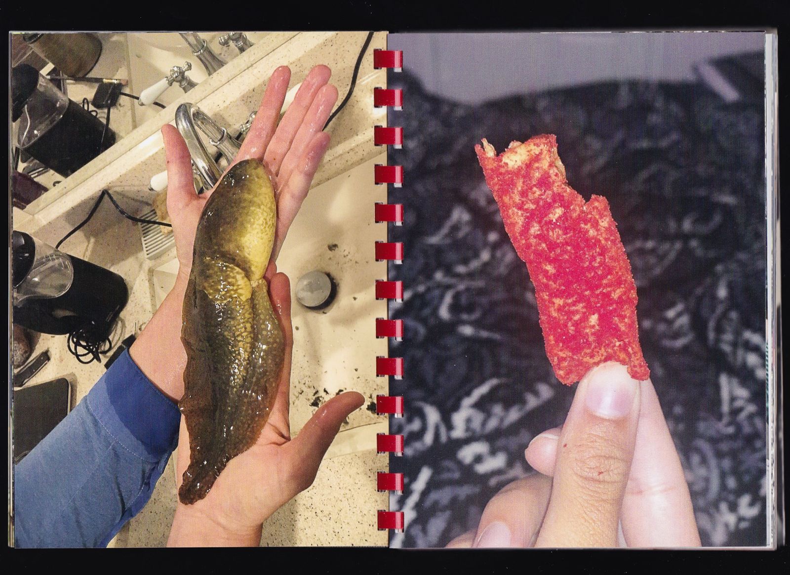© Max Gavrich - Image from the Hand for Scale photography project