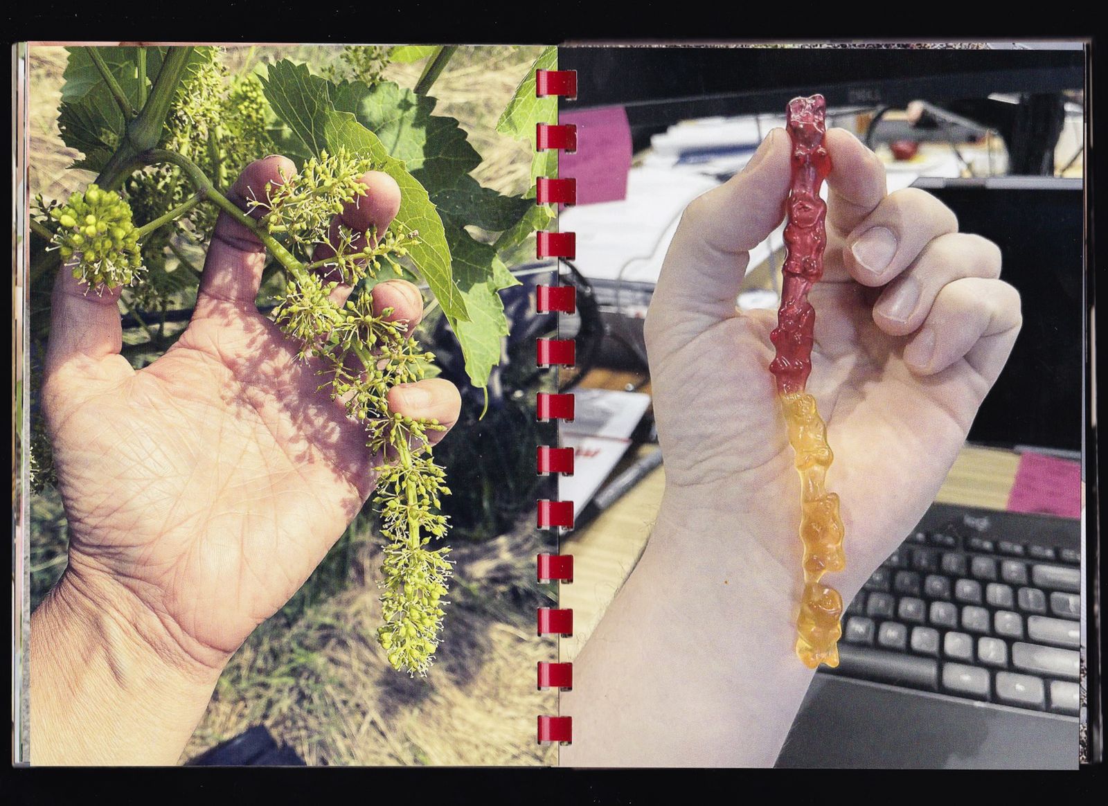 © Max Gavrich - Image from the Hand for Scale photography project