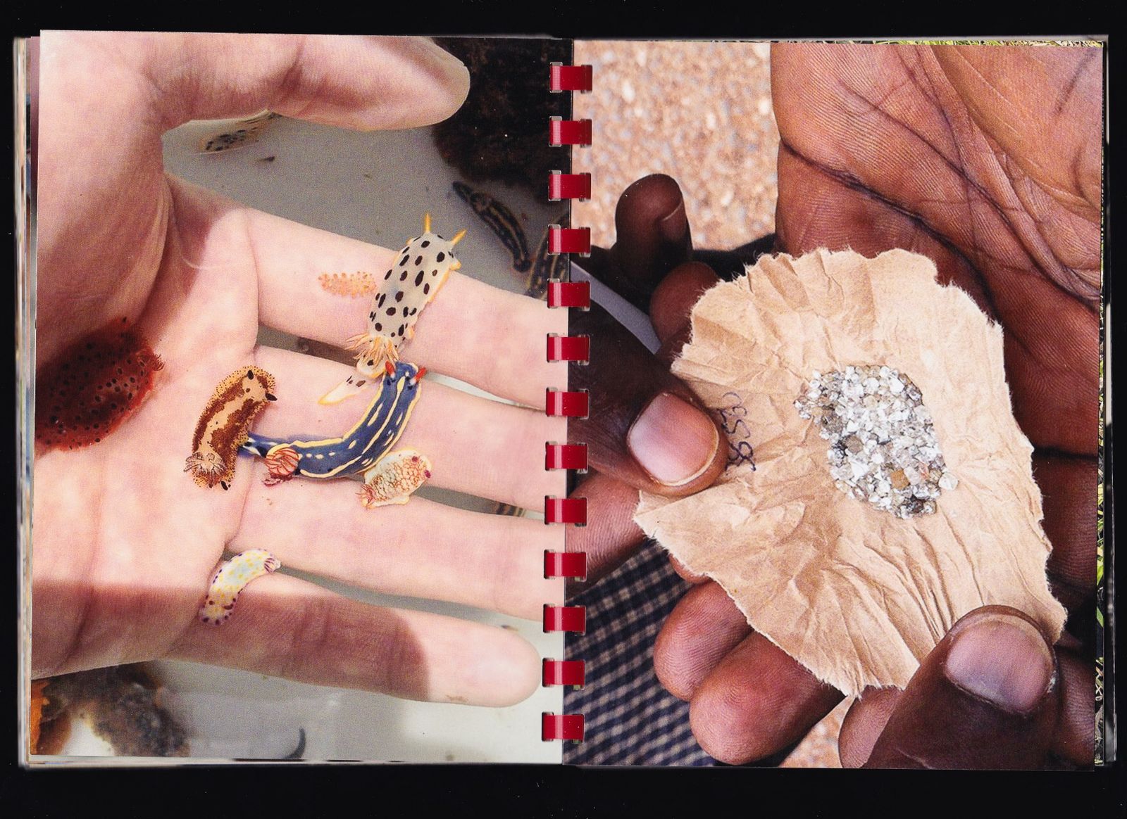 © Max Gavrich - Image from the Hand for Scale photography project