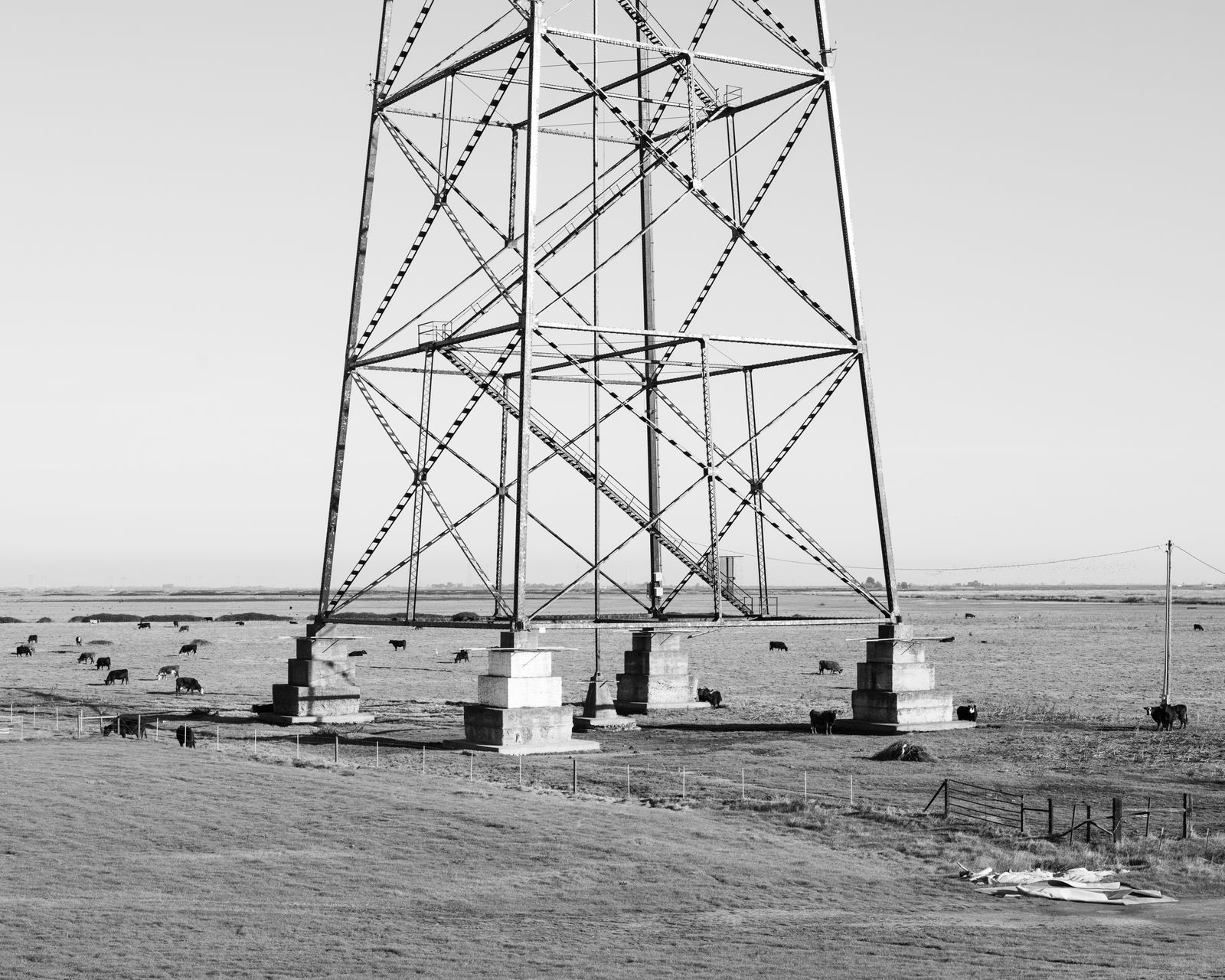 © Max Gavrich - Grazing Land (Transmission Tower), 2020