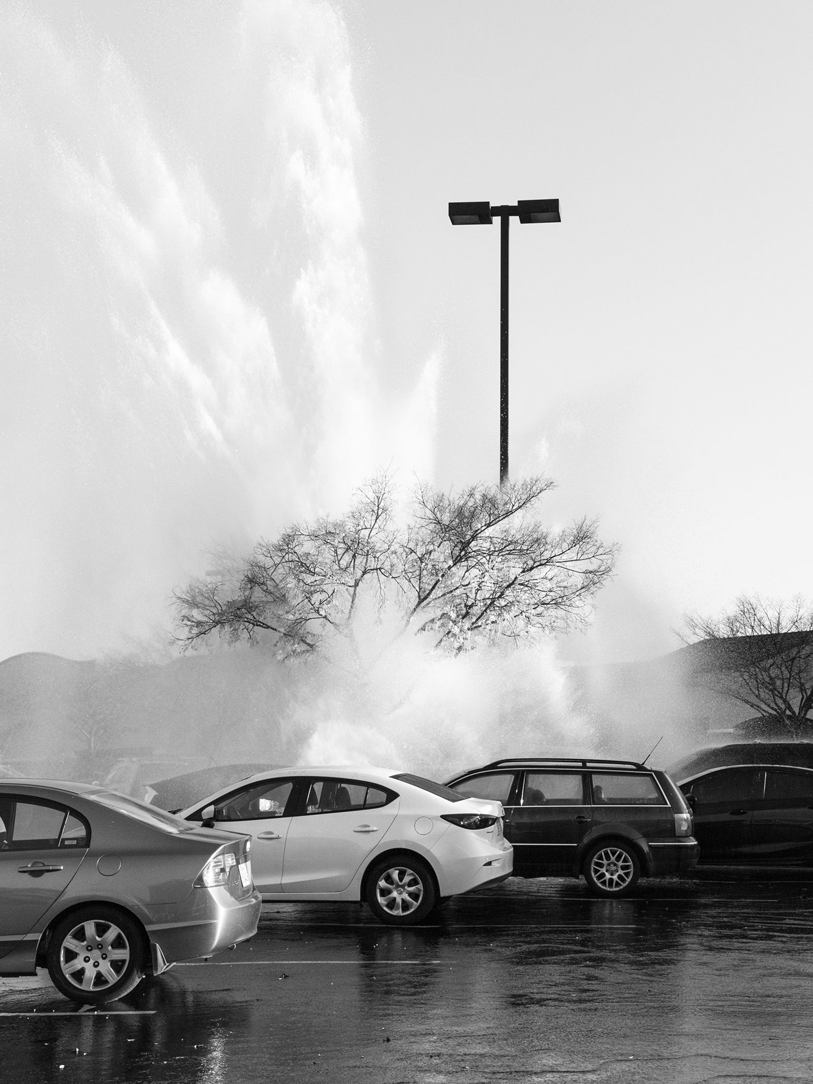 © Max Gavrich - Parking Lot Geyser, 2020