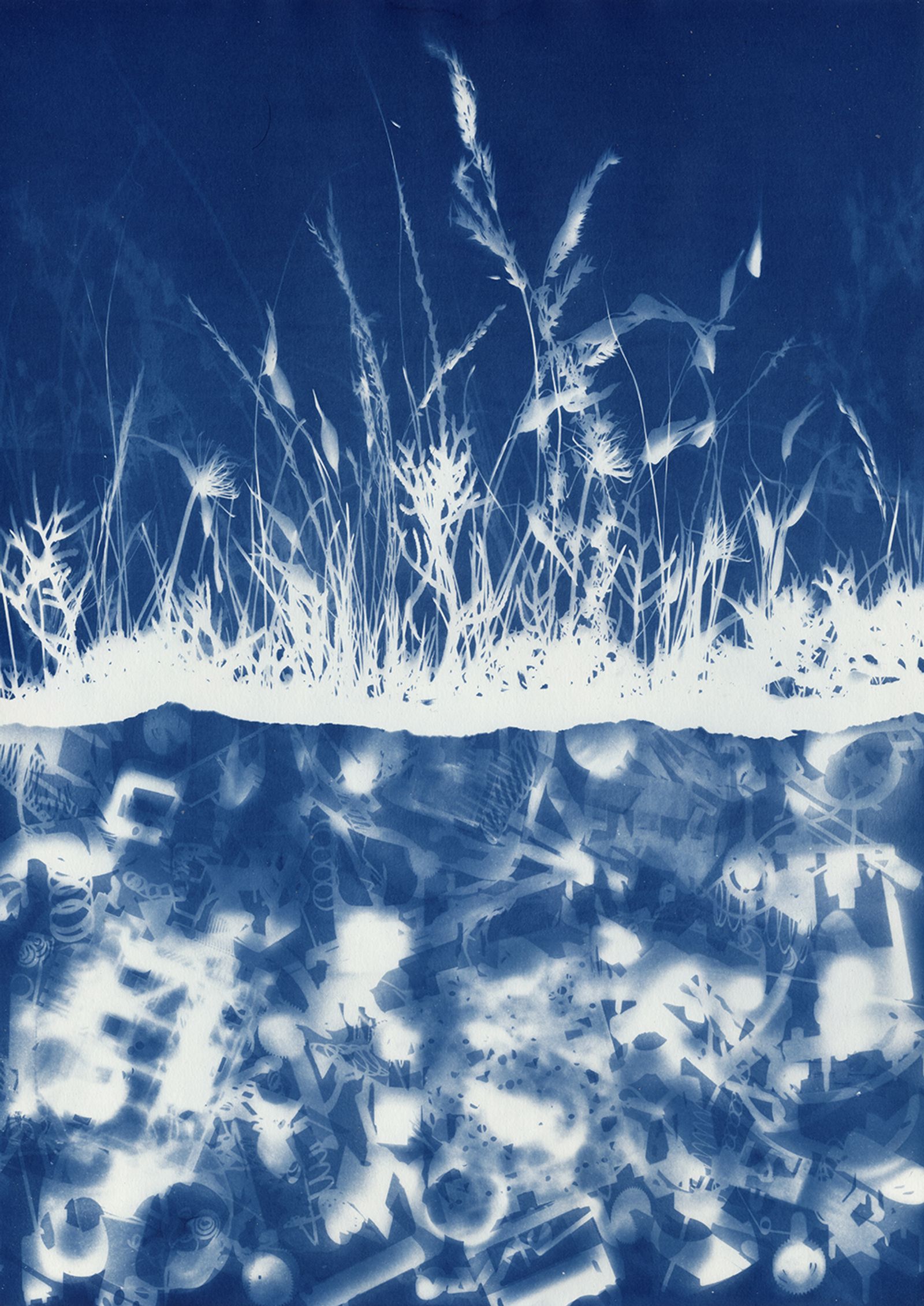 © Miltiadis Igglezos - Image from the Cyanotypes of a trashworld photography project