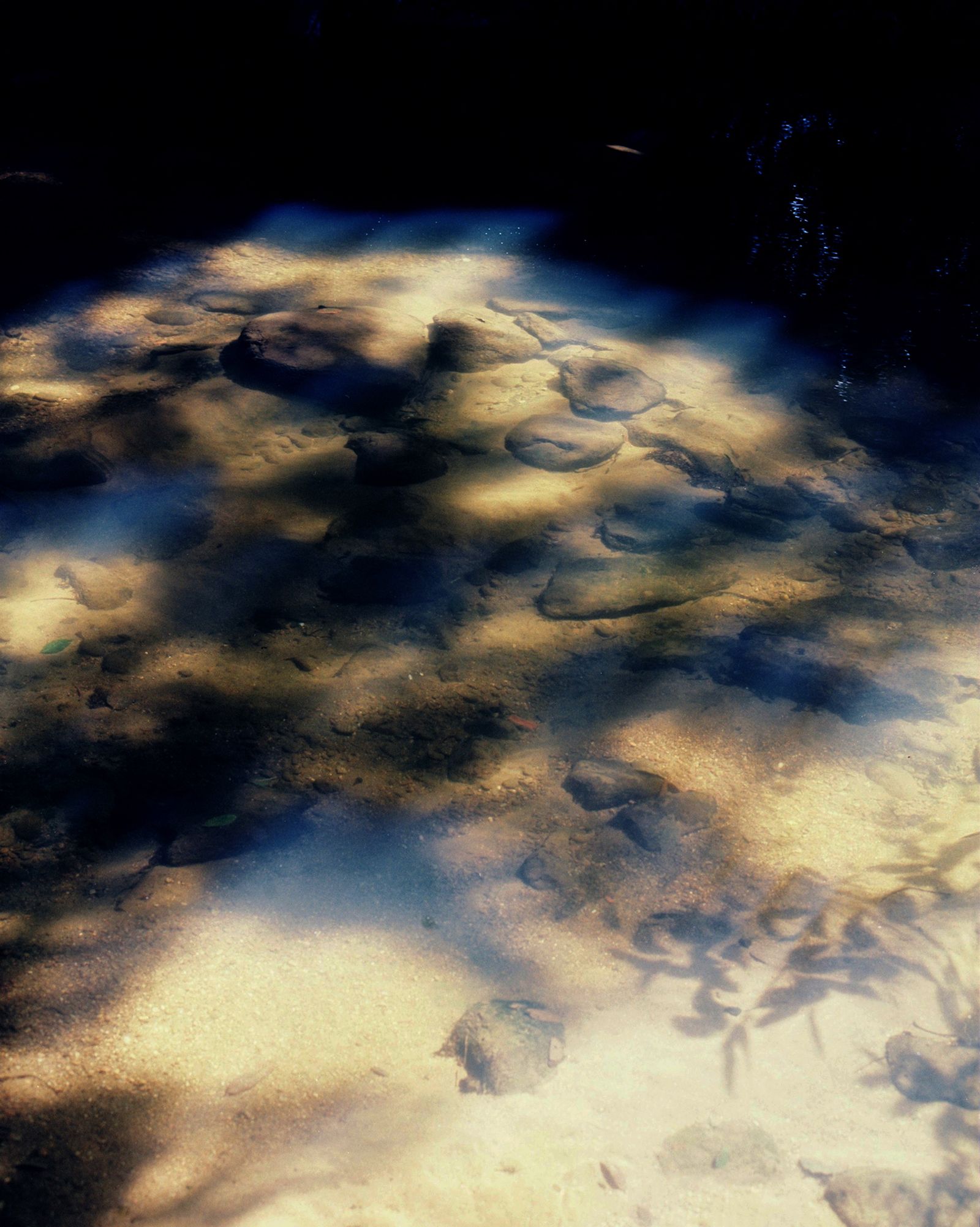 © Layla Motta - Image from the Atlântica photography project
