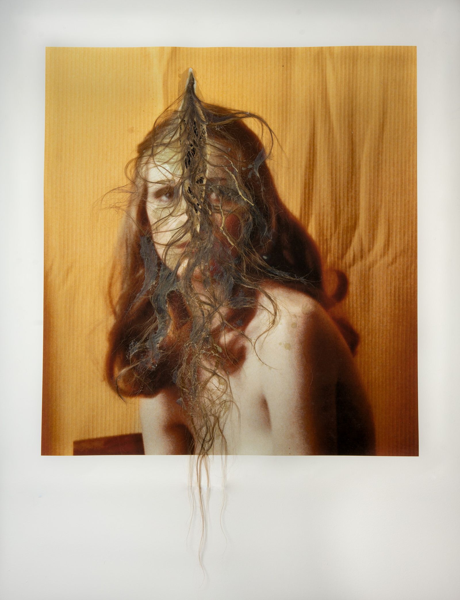 © Elizabeth Hibbard - Archival inkjet print, beeswax, human hair