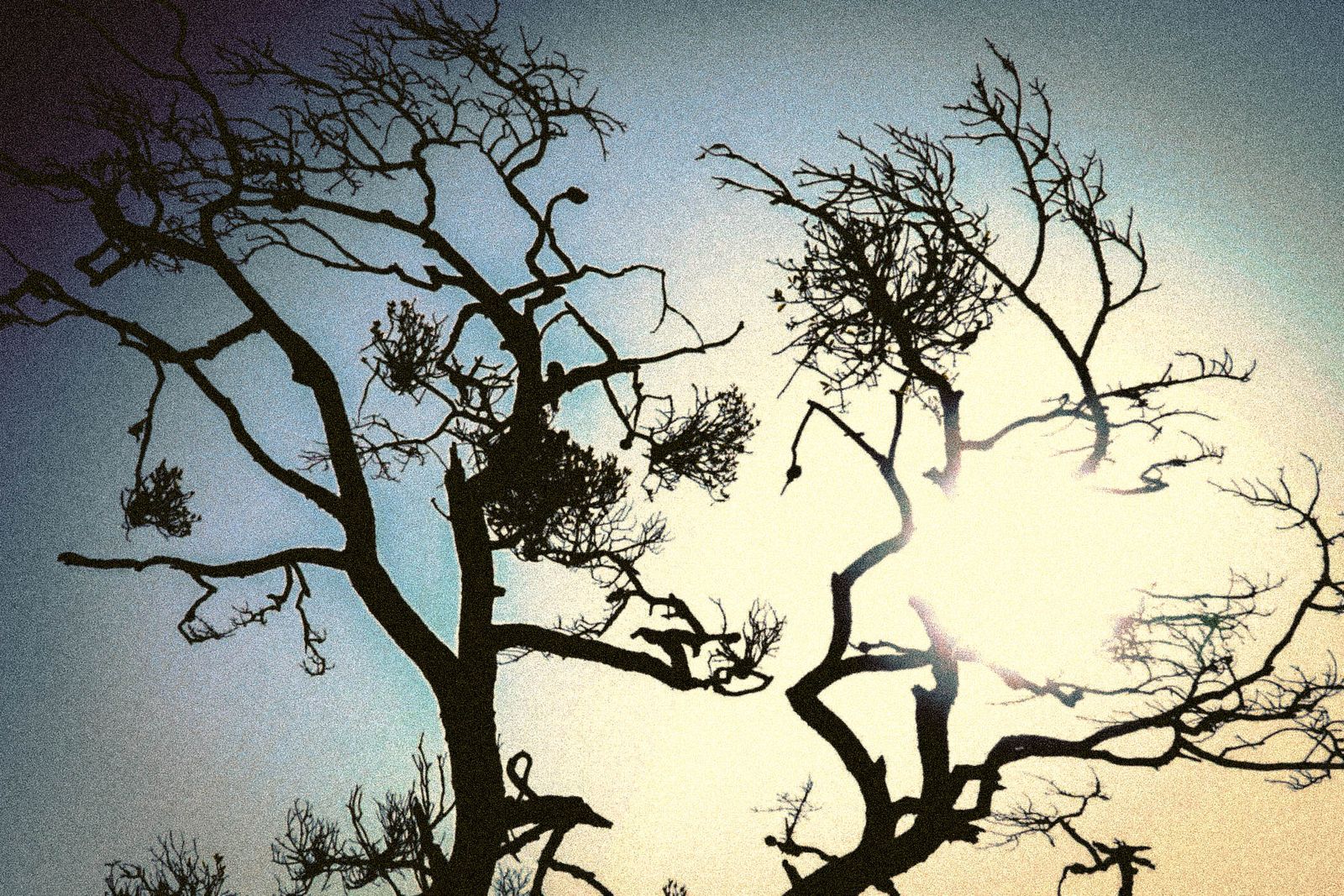 © Yeyi - Image from the Blessing, Swaying, Dancing photography project