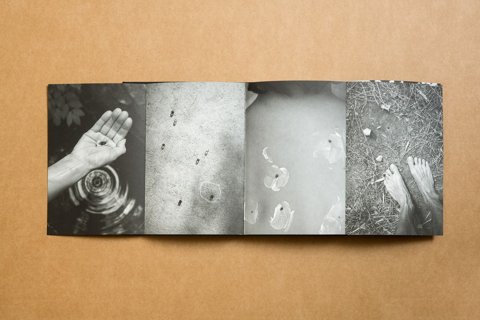 Photobook Review: Summer's Almost Gone By Alex Llovet