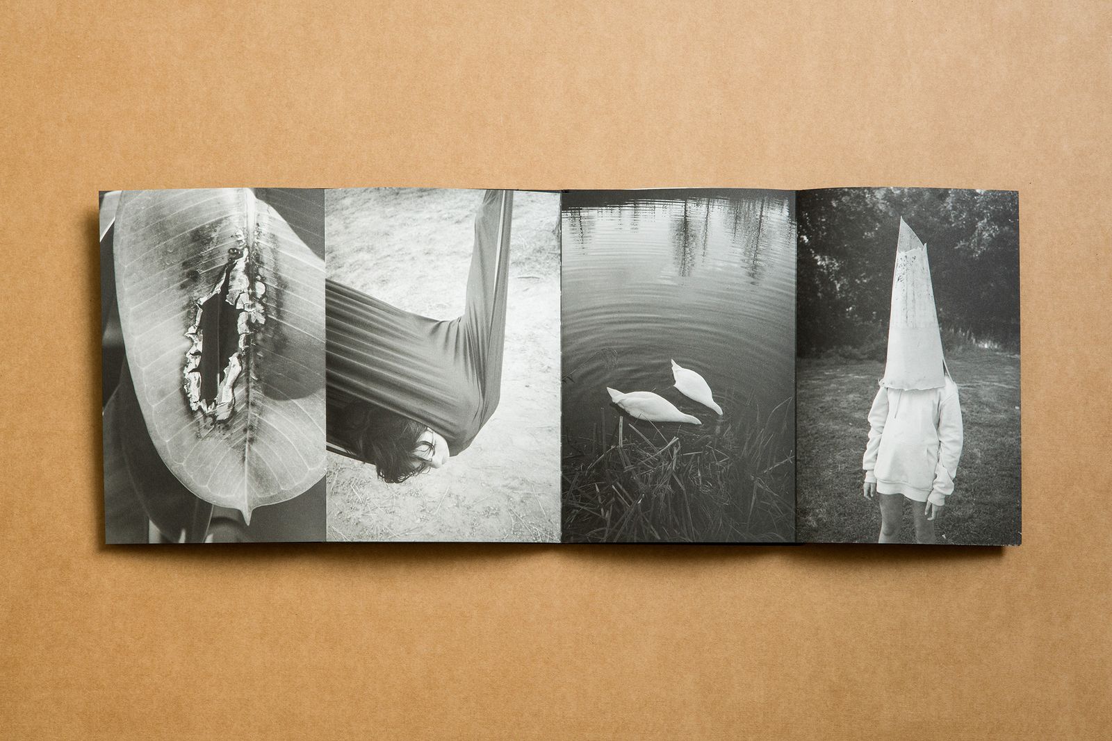 Photobook Review: Summer's Almost Gone By Alex Llovet