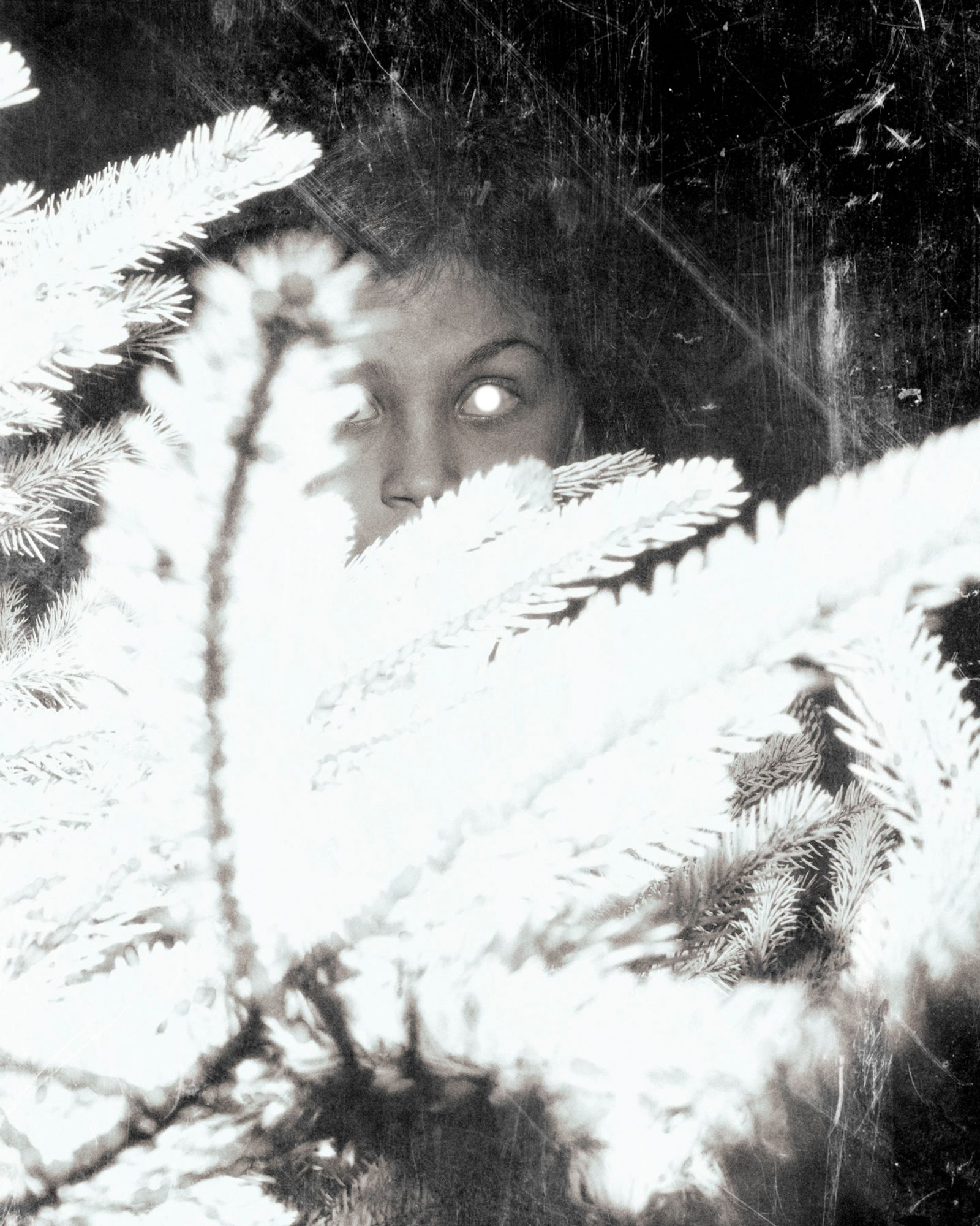 © Paul Thulin, from the book Pine Tree Ballads