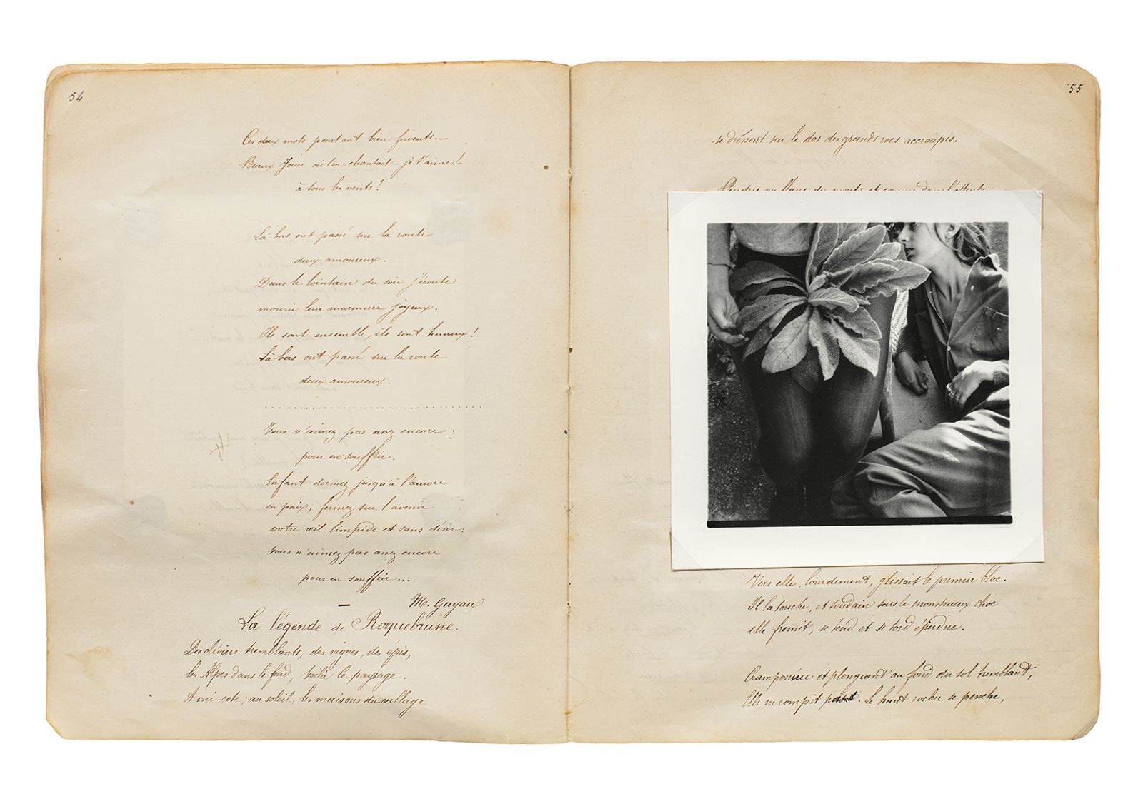 フランチェスカ・ウッドマン【The Artist Books】 Francesca Woodman: The Artist's Books | North East