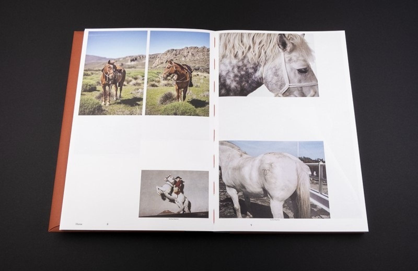 © Heleen Peeters, spread from the book Horse