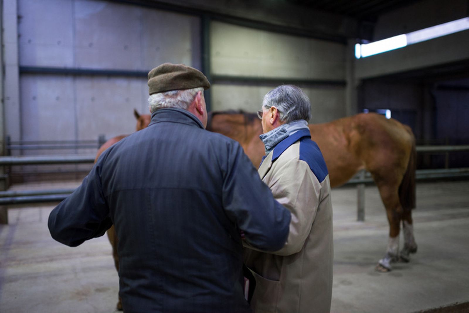 © Heleen Peeters, from the book Horse