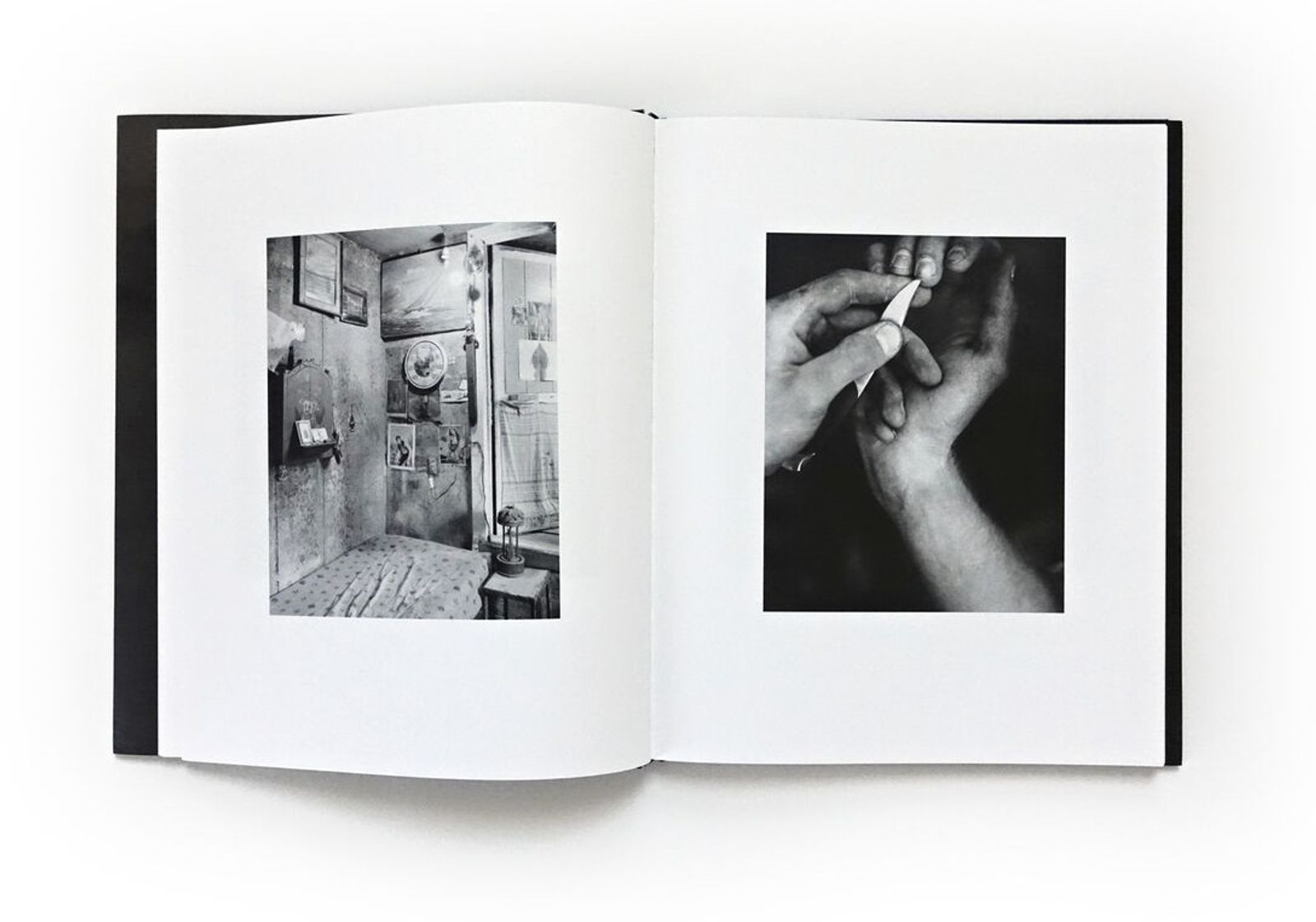 © Matthew Genitempo, spread from the book, Jasper