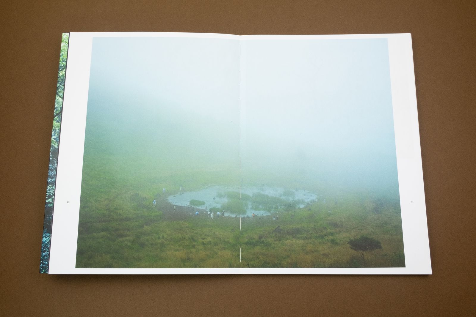 Photobook Review: Jejudo: Forbidden Forest by Hyung-Geun Park