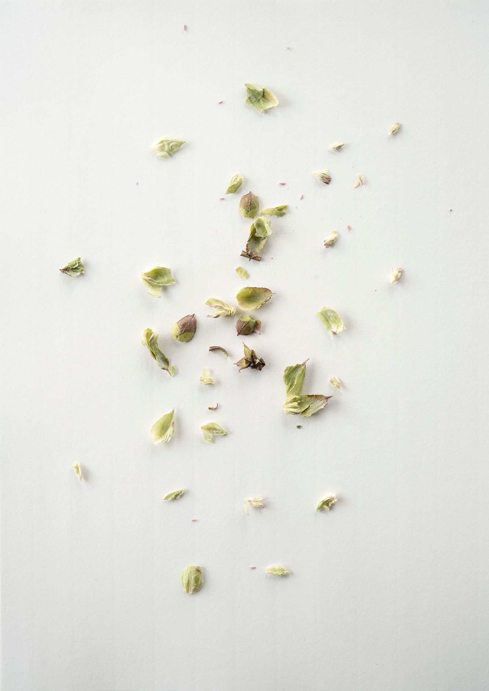 © Yan Wang Preston
