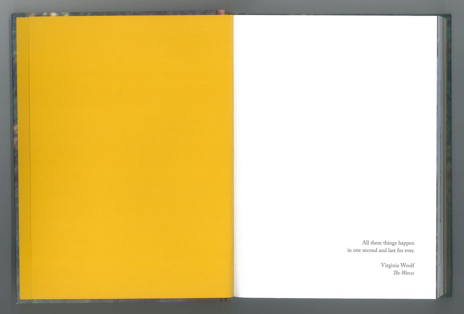 Photobook Review: The Mothers I Might Have Had by Caroline Furneaux