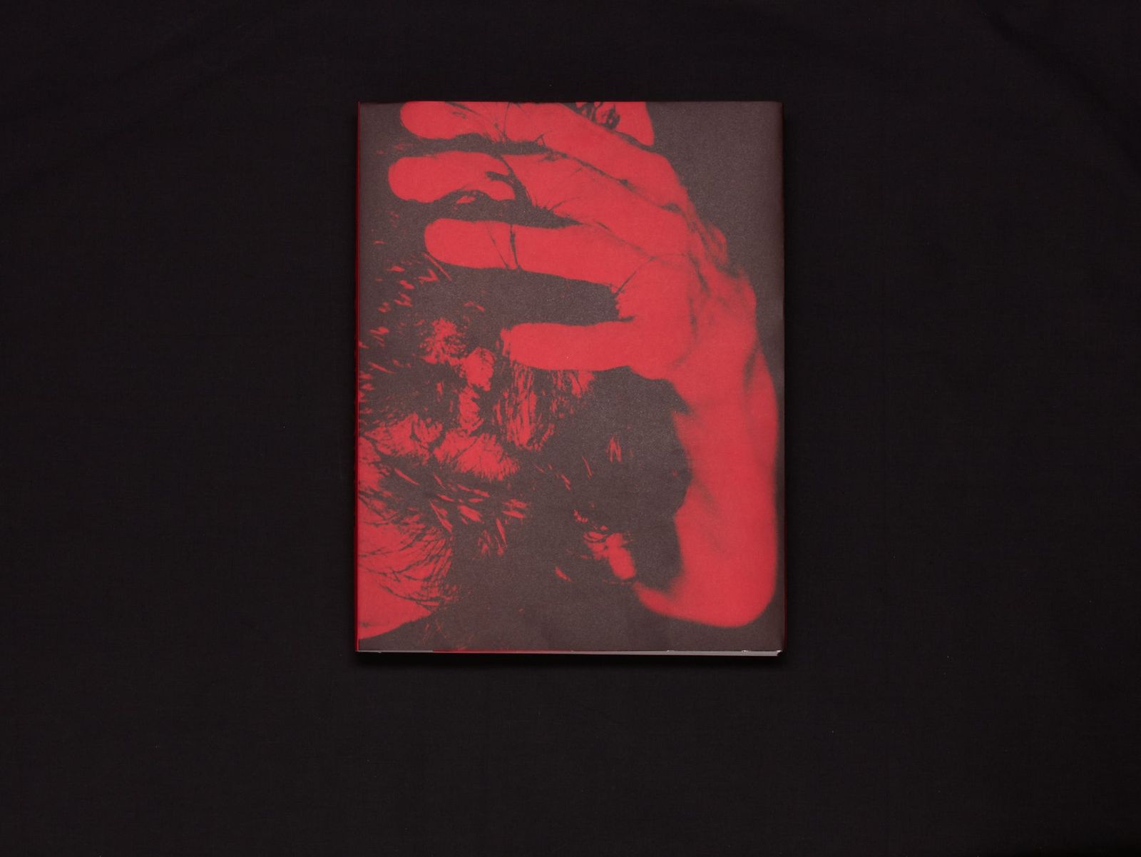 Photobook Review: Flashpoint! edited by Russet Lederman and Olga Yatskevich