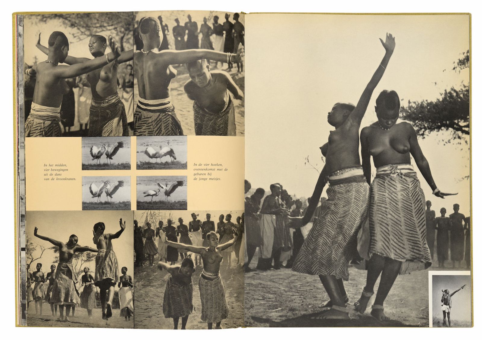 Reviewing the History of Belgian Photobooks