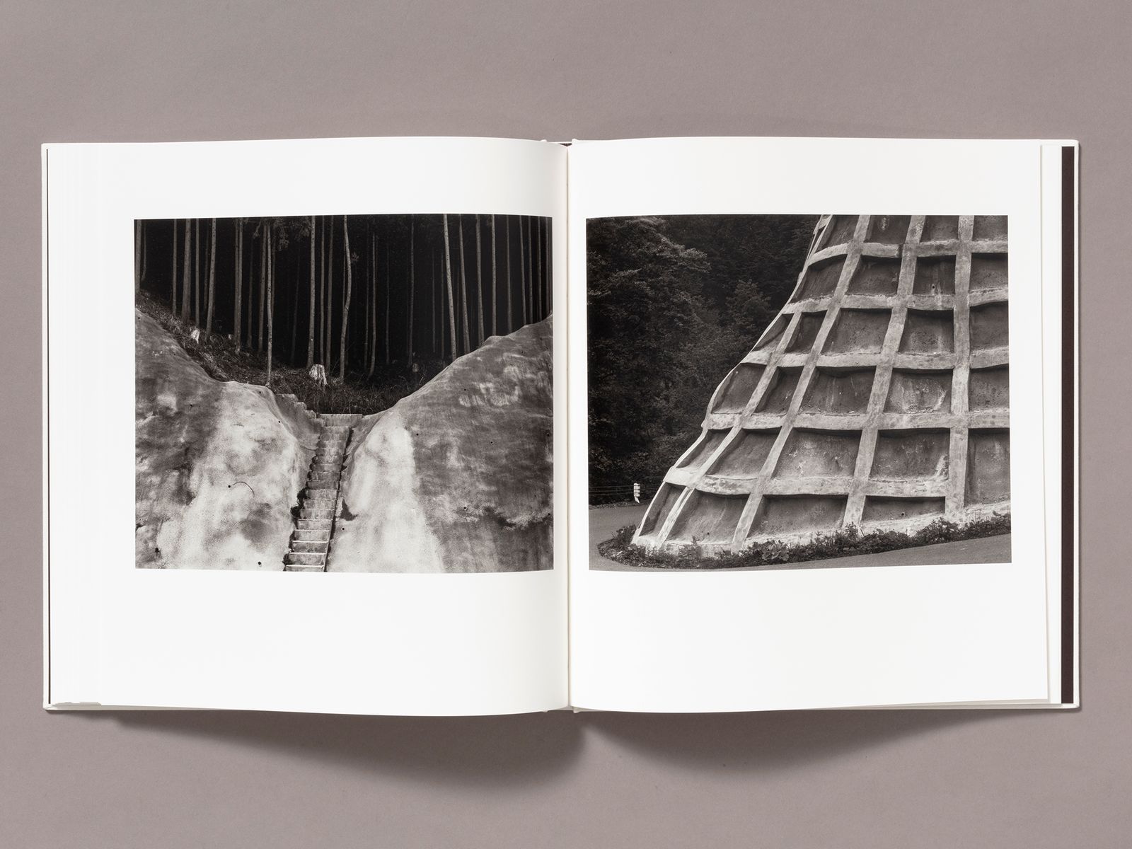 Photobook Review: Day for Night by Toshio Shibata