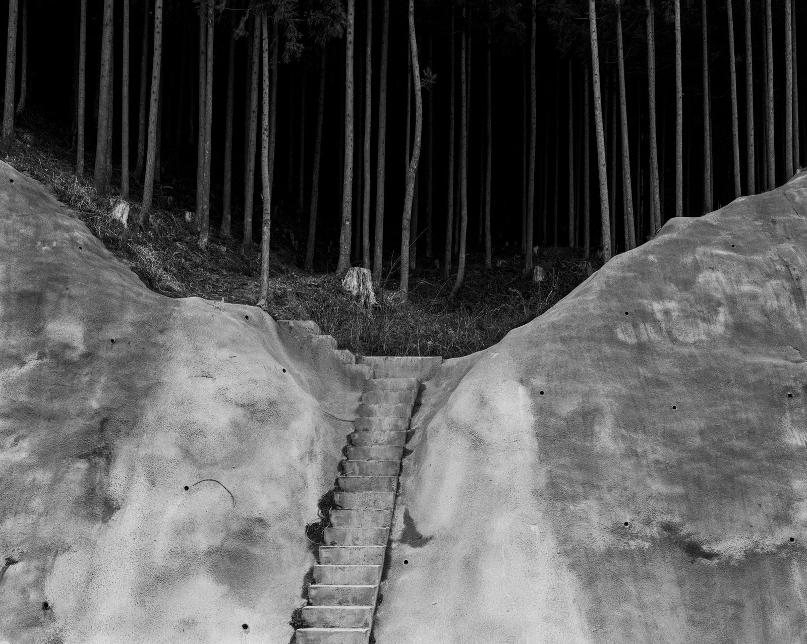 Photobook Review: Day for Night by Toshio Shibata