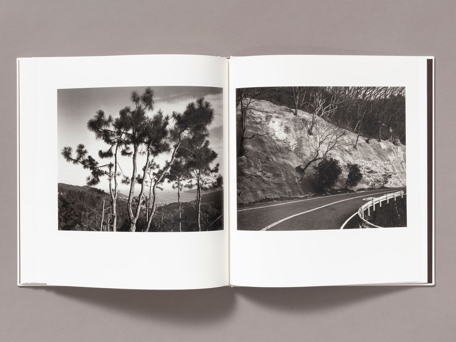 Photobook Review: Day for Night by Toshio Shibata